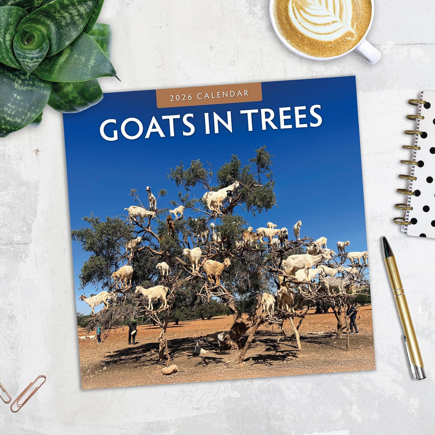 Red Robin 2026 Goats in Trees Monthly Wall Calendar | 12" x 24" Open | Premium Thick & Sturdy Paper | Hangable 12 Month Calendar | Lined Notes & To Do Area | Vivid Images | Plastic Free