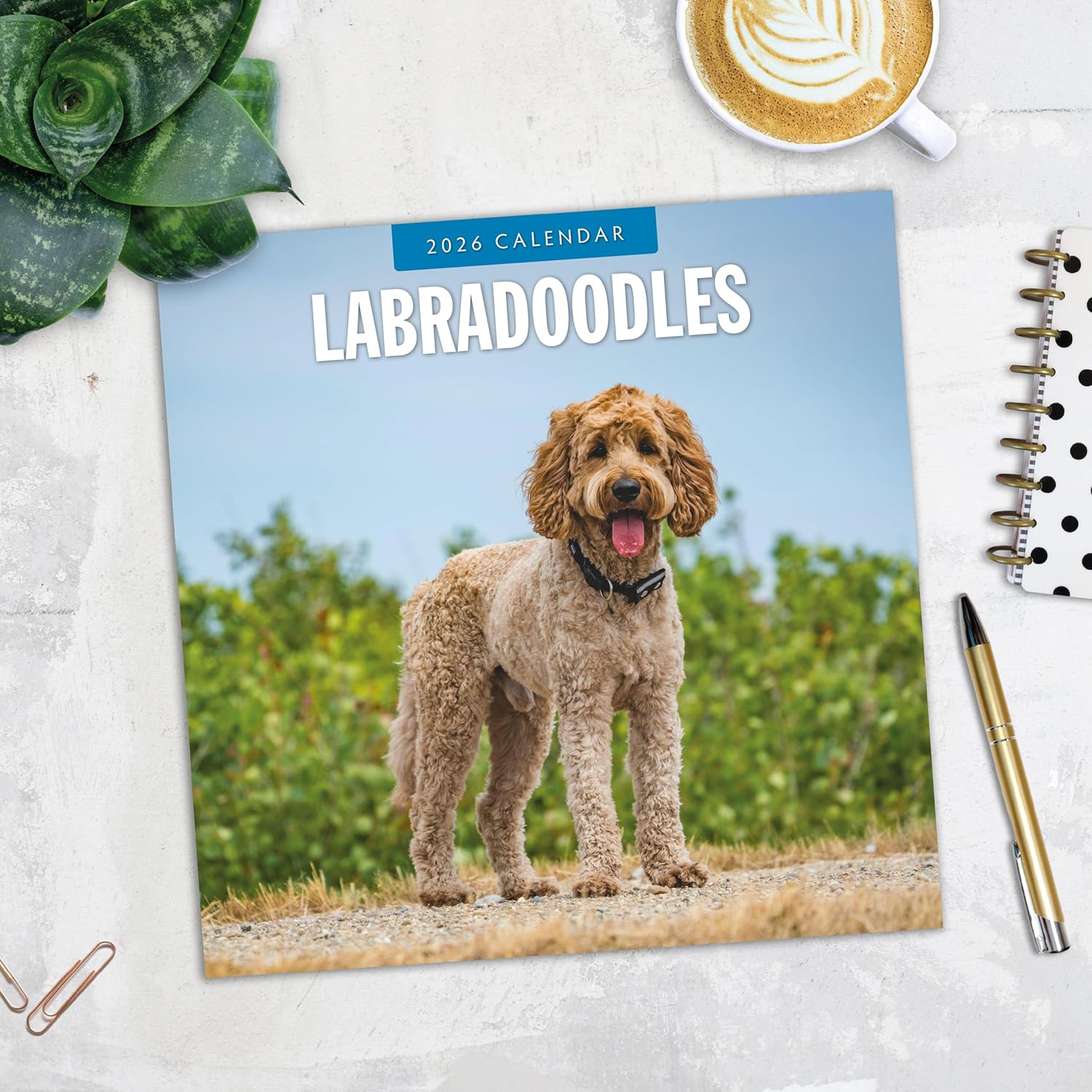 Red Robin 2026 Labradoodles Monthly Wall Calendar | 12" x 24" Open | Premium Thick & Sturdy Paper | Hangable 12 Month Calendar | Lined Notes & To Do Area | Vivid Images | Plastic Free