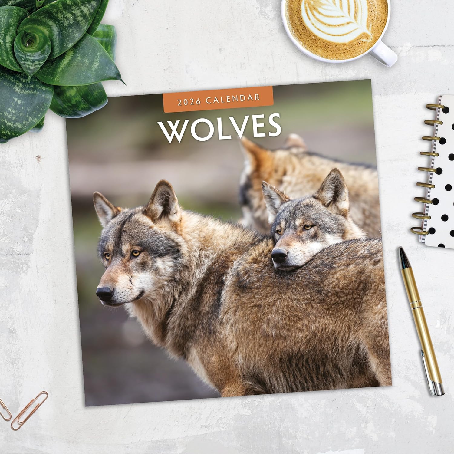 Red Robin 2026 Wolves Monthly Wall Calendar | 12" x 24" Open | Premium Thick & Sturdy Paper | Hangable 12 Month Calendar | Lined Notes & To Do Area | Vivid Images | Plastic Free
