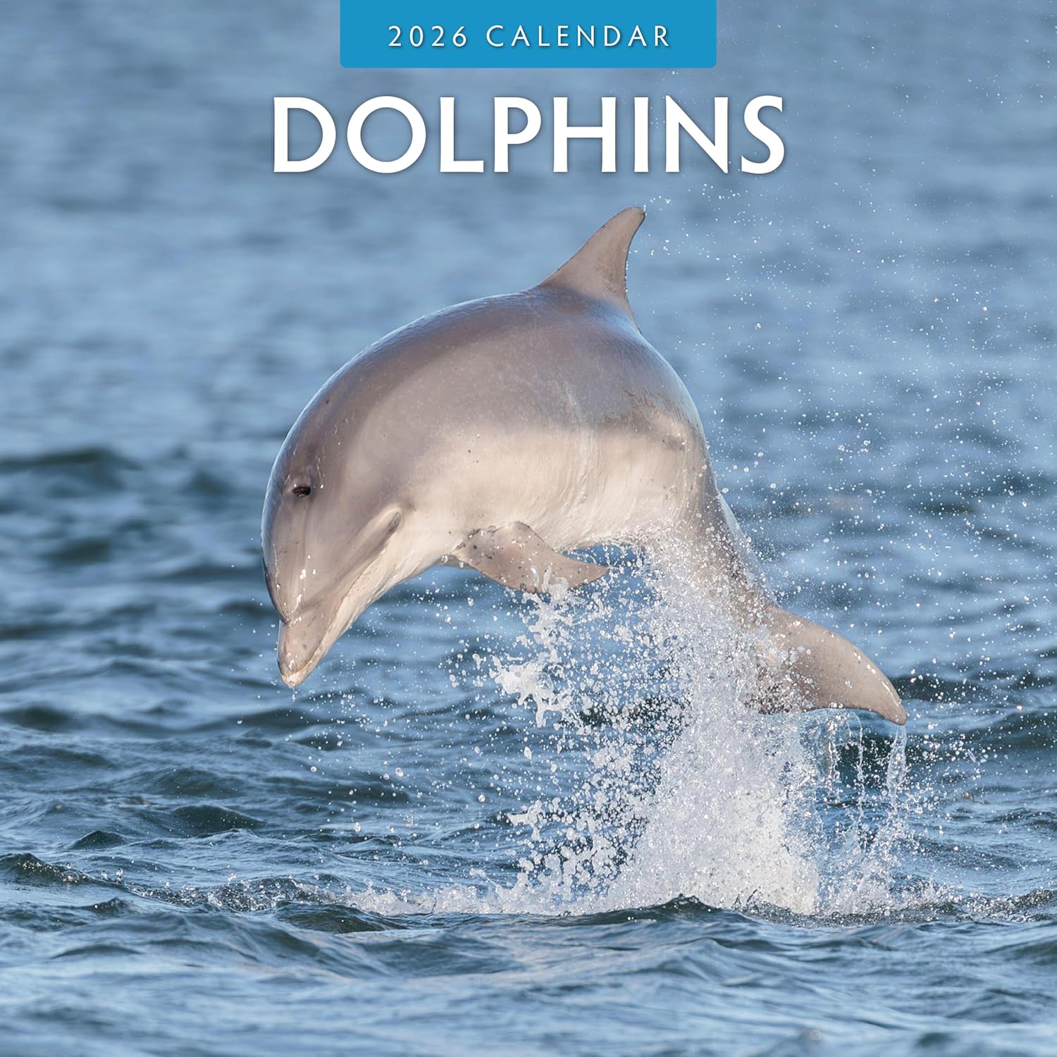 Red Robin 2026 Dolphins Monthly Wall Calendar | 12" x 24" Open | Premium Thick & Sturdy Paper | Hangable 12 Month Calendar | Lined Notes & To Do Area | Vivid Images | Plastic Free