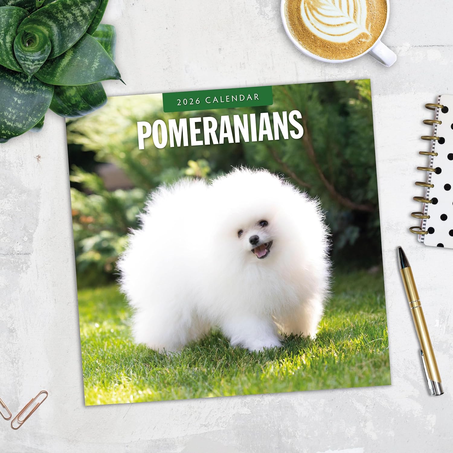 Red Robin 2026 Pomeranians Monthly Wall Calendar | 12" x 24" Open | Premium Thick & Sturdy Paper | Hangable 12 Month Calendar | Lined Notes & To Do Area | Vivid Images | Plastic Free