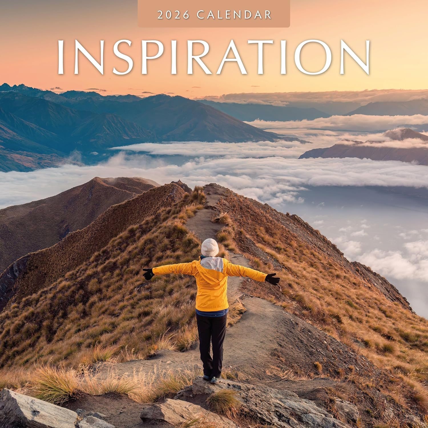 Red Robin 2026 Inspiration Monthly Wall Calendar | 12" x 24" Open | Premium Thick & Sturdy Paper | Hangable 12 Month Calendar | Lined Notes & To Do Area | Vivid Images | Plastic Free