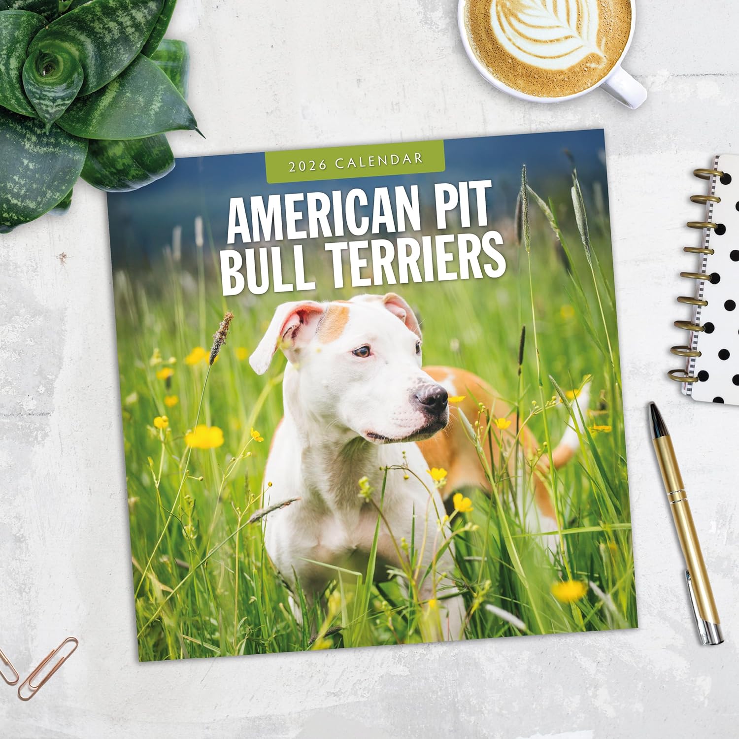 Red Robin 2026 American Pit Bull Terriers Monthly Wall Calendar | 12" x 24" Open | Premium Thick & Sturdy Paper | Hangable 12 Month Calendar | Lined Notes & To Do Area | Vivid Images | Plastic Free