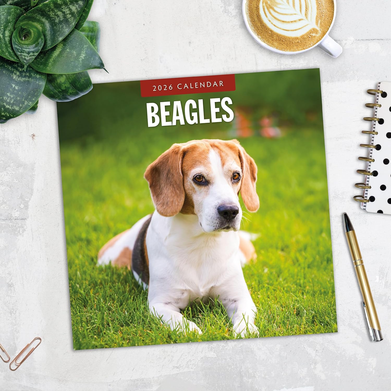 Red Robin 2026 Beagles Monthly Wall Calendar | 12" x 24" Open | Premium Thick & Sturdy Paper | Hangable 12 Month Calendar | Lined Notes & To Do Area | Vivid Images | Plastic Free