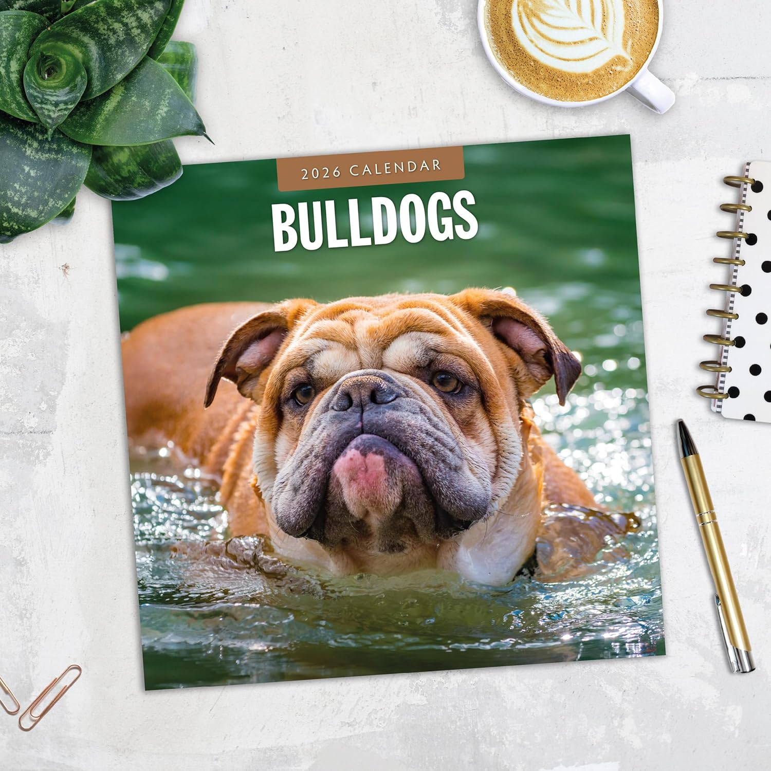 Red Robin 2026 Bulldogs Monthly Wall Calendar | 12" x 24" Open | Premium Thick & Sturdy Paper | Hangable 12 Month Calendar | Lined Notes & To Do Area | Vivid Images | Plastic Free