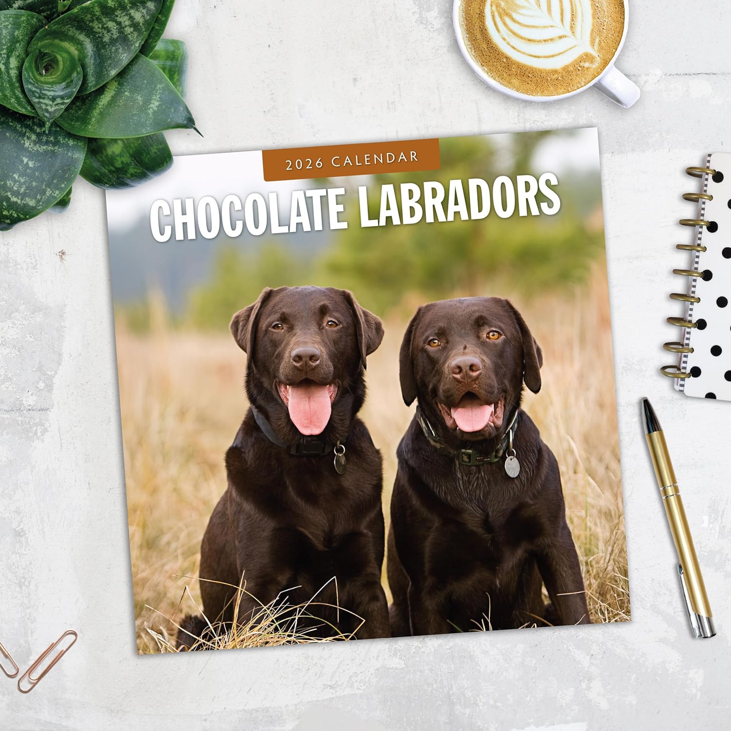 Red Robin 2026 Chocolate Labradors Monthly Wall Calendar | 12" x 24" Open | Premium Thick & Sturdy Paper | Hangable 12 Month Calendar | Lined Notes & To Do Area | Vivid Images | Plastic Free