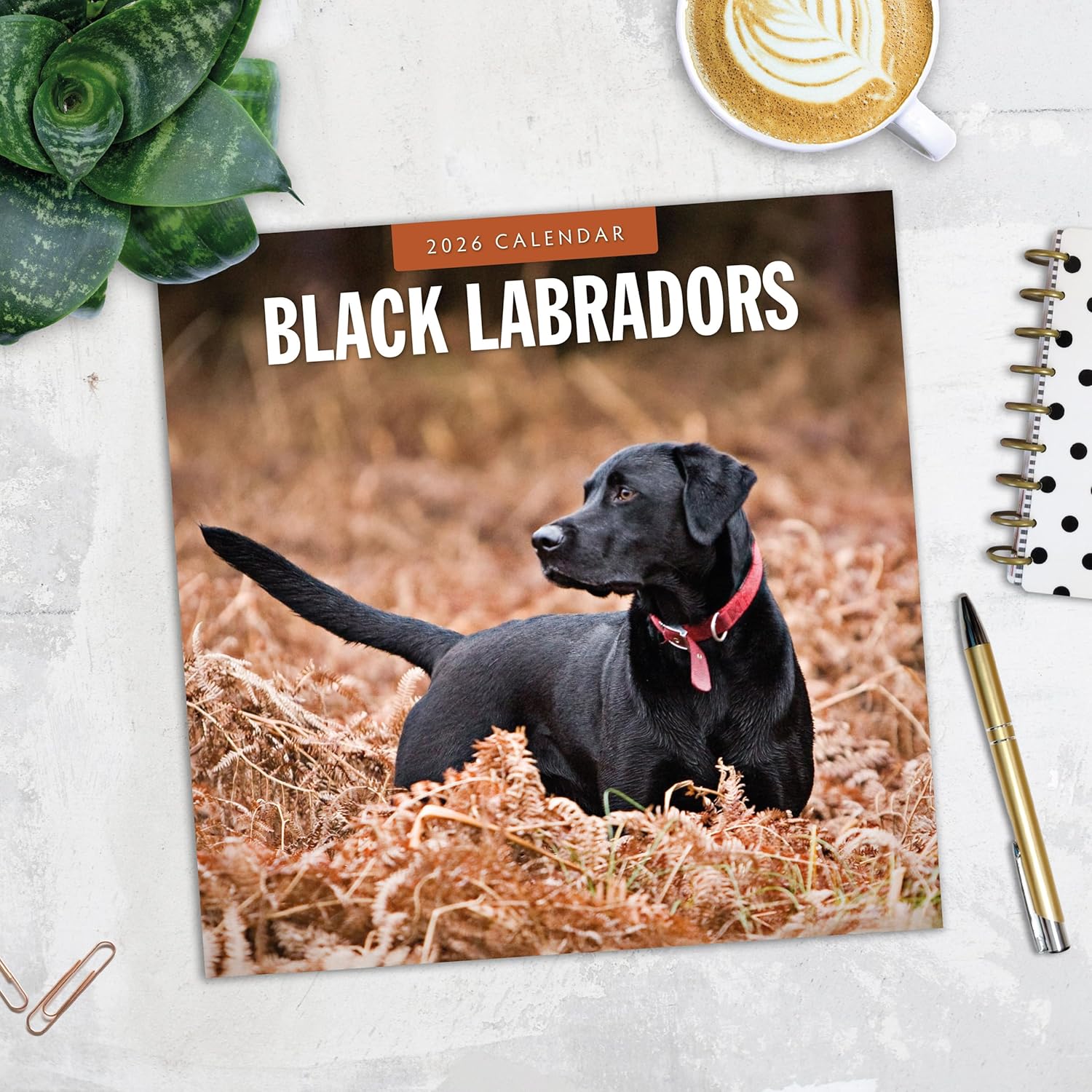 Red Robin 2026 Black Labradors Monthly Wall Calendar | 12" x 24" Open | Premium Thick & Sturdy Paper | Hangable 12 Month Calendar | Lined Notes & To Do Area | Vivid Images | Plastic Free
