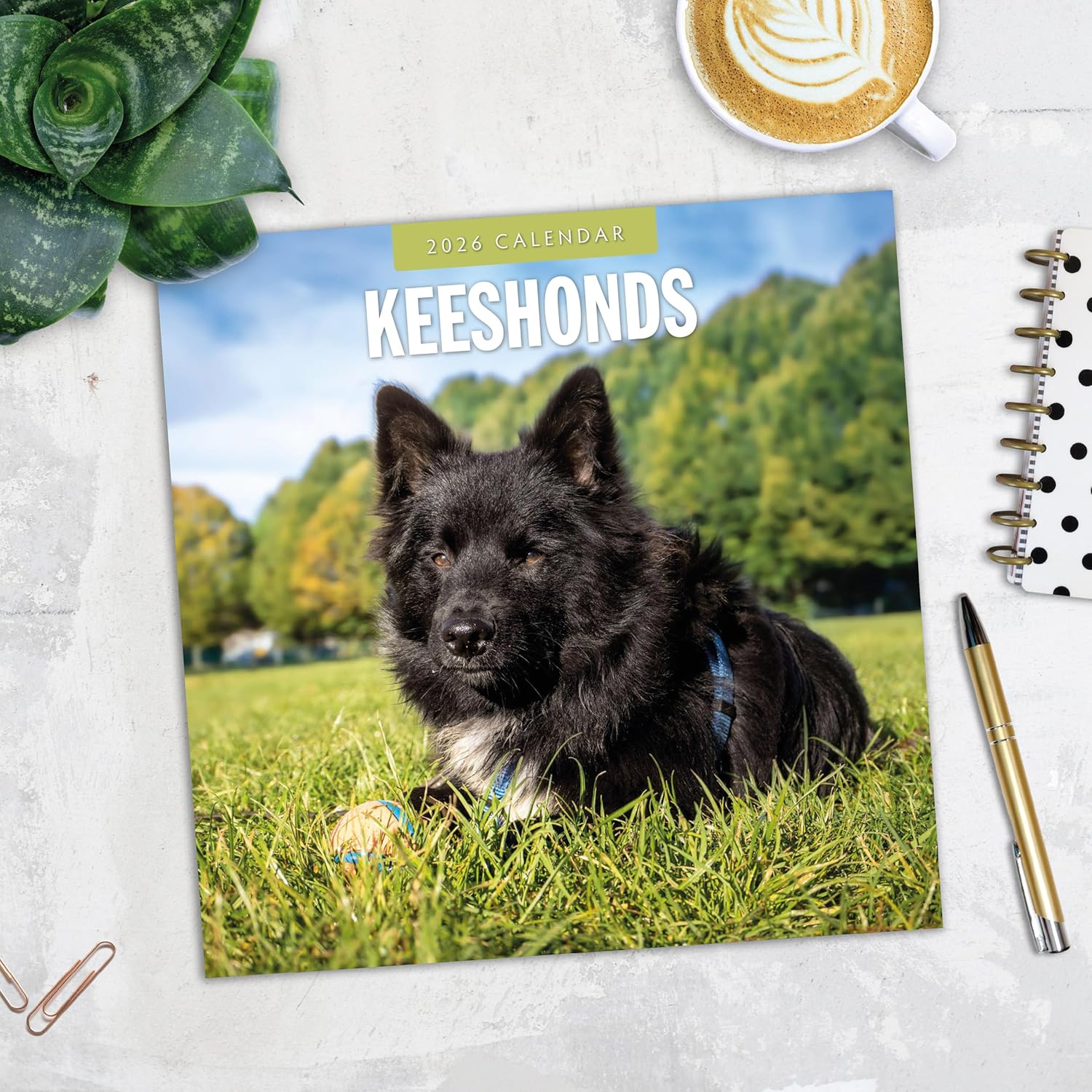 Red Robin 2026 Keeshonds Monthly Wall Calendar | 12" x 24" Open | Premium Thick & Sturdy Paper | Hangable 12 Month Calendar | Lined Notes & To Do Area | Vivid Images | Plastic Free