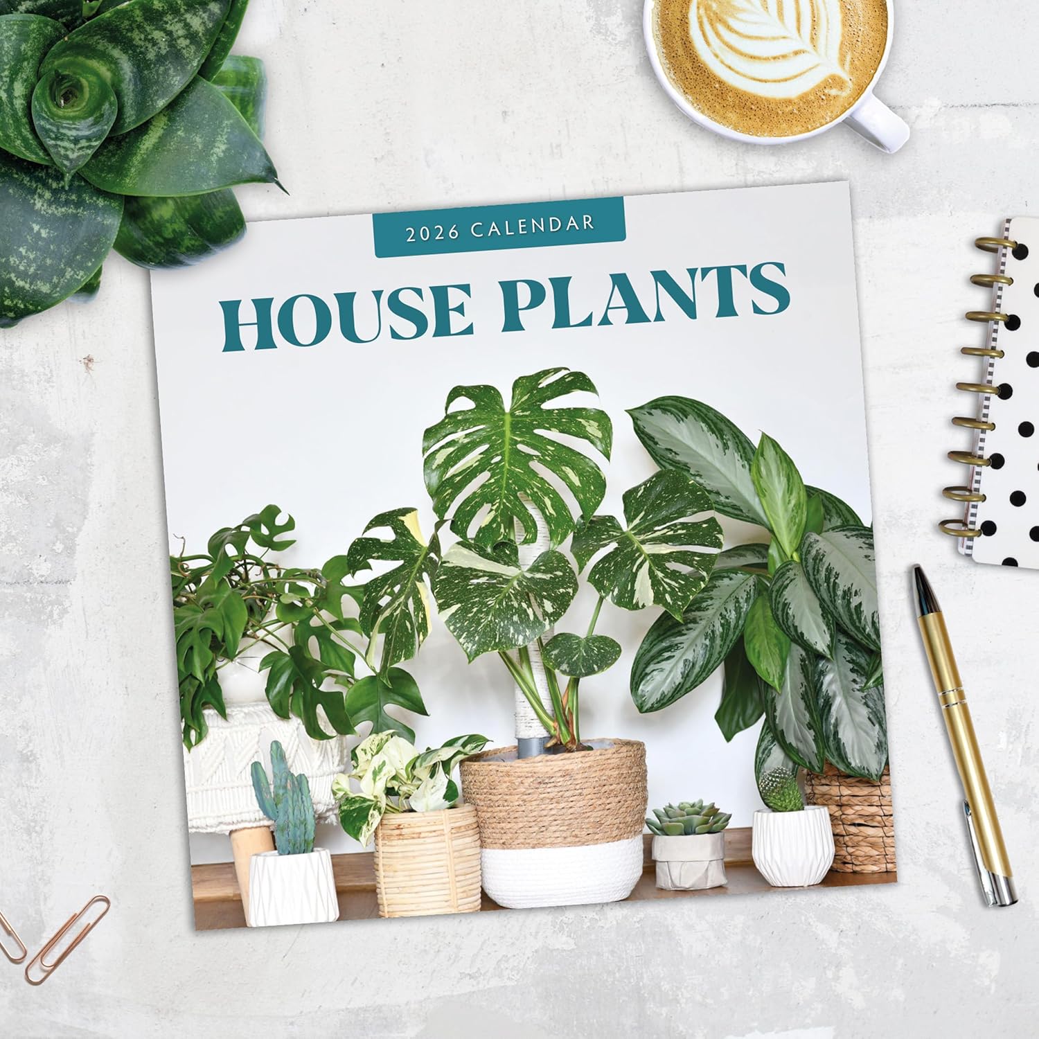Red Robin 2026 House Plants Monthly Wall Calendar | 12" x 24" Open | Premium Thick & Sturdy Paper | Hangable 12 Month Calendar | Lined Notes & To Do Area | Vivid Images | Plastic Free