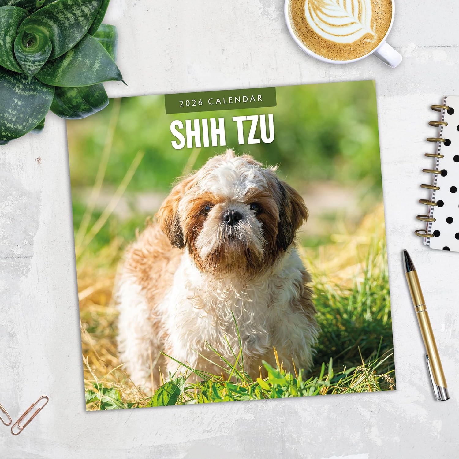 Red Robin 2026 Shih Tzu Monthly Wall Calendar | 12" x 24" Open | Premium Thick & Sturdy Paper | Hangable 12 Month Calendar | Lined Notes & To Do Area | Vivid Images | Plastic Free