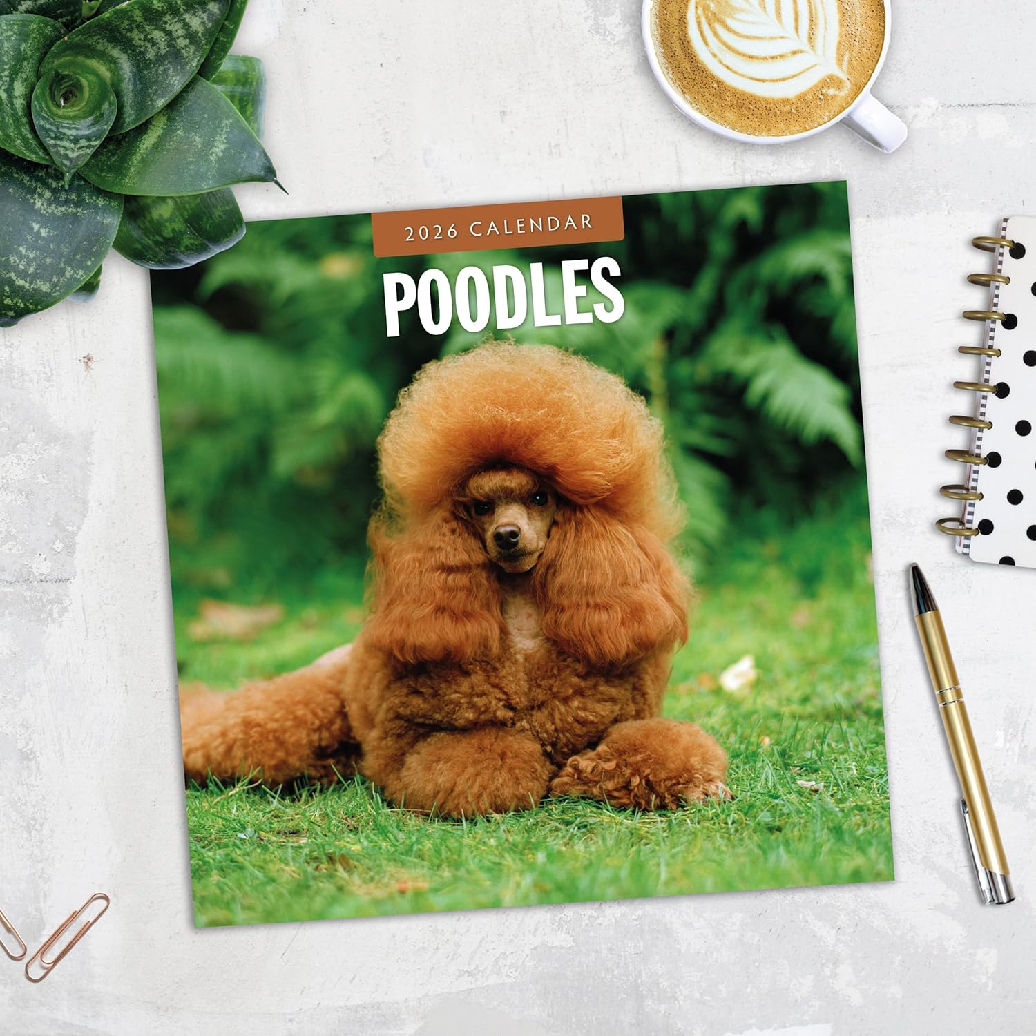 Red Robin 2026 Poodles Monthly Wall Calendar | 12" x 24" Open | Premium Thick & Sturdy Paper | Hangable 12 Month Calendar | Lined Notes & To Do Area | Vivid Images | Plastic Free