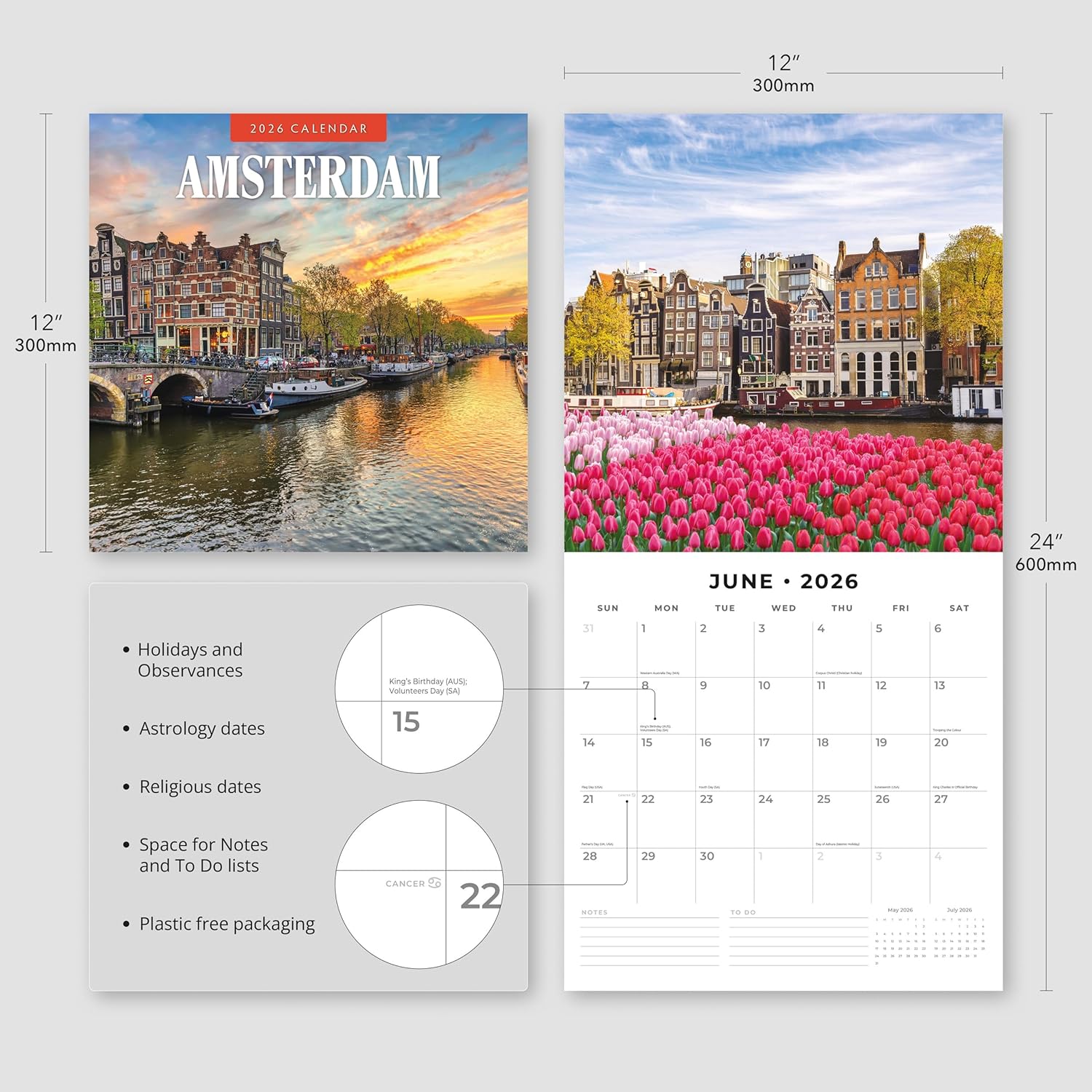 Red Robin 2026 Amsterdam Monthly Wall Calendar | 12" x 24" Open | Premium Thick & Sturdy Paper | Hangable 12 Month Calendar | Lined Notes & To Do Area | Vivid Images | Plastic Free