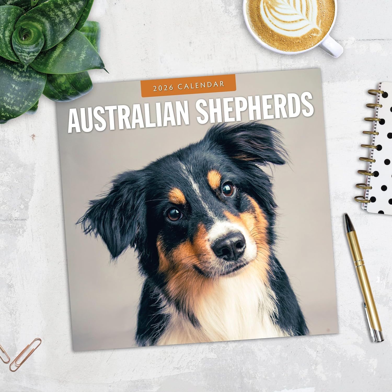 Red Robin 2026 Australian Shepherds Monthly Wall Calendar | 12" x 24" Open | Premium Thick & Sturdy Paper | Hangable 12 Month Calendar | Lined Notes & To Do Area | Vivid Images | Plastic Free
