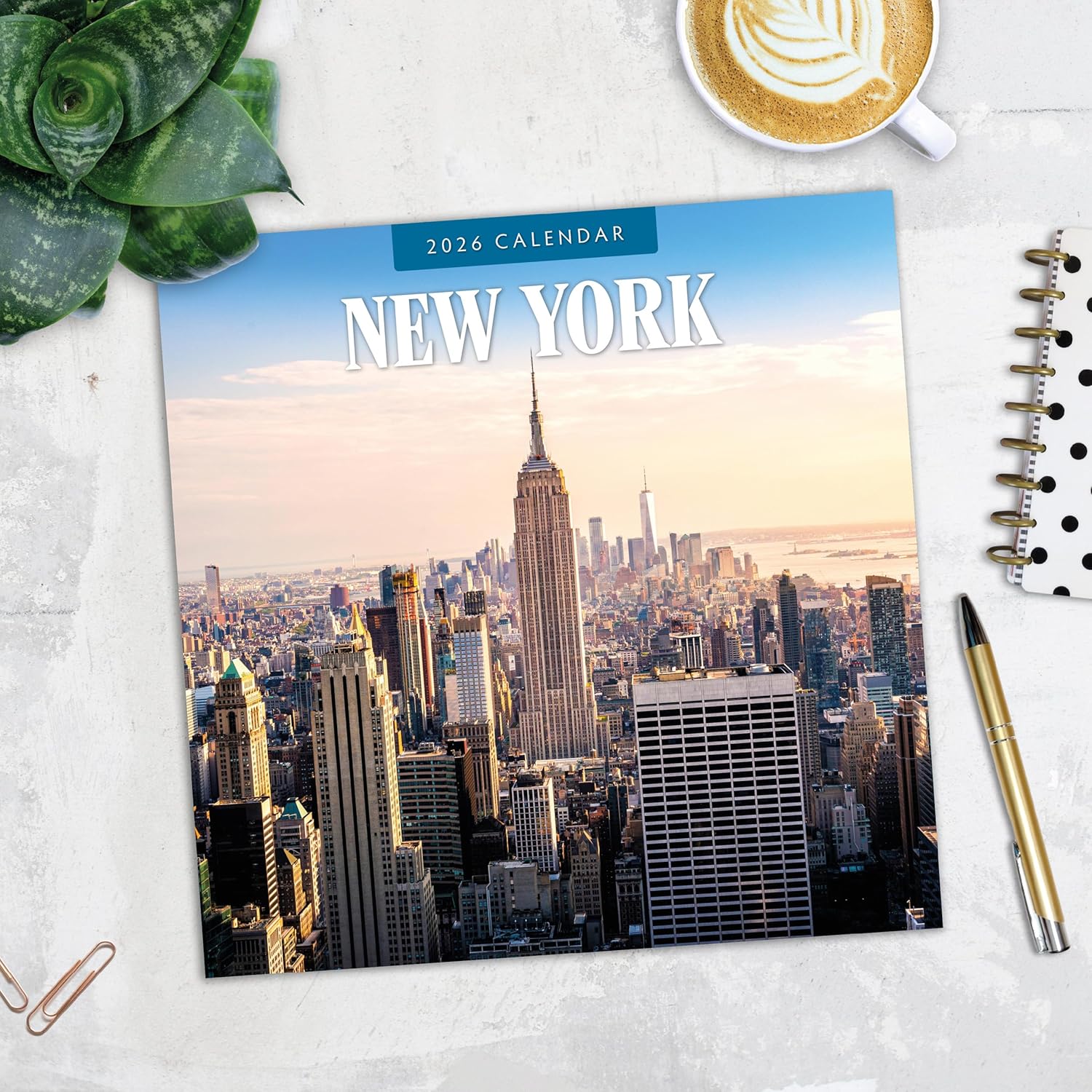 Red Robin 2026 New York Monthly Wall Calendar | 12" x 24" Open | Premium Thick & Sturdy Paper | Hangable 12 Month Calendar | Lined Notes & To Do Area | Vivid Images | Plastic Free