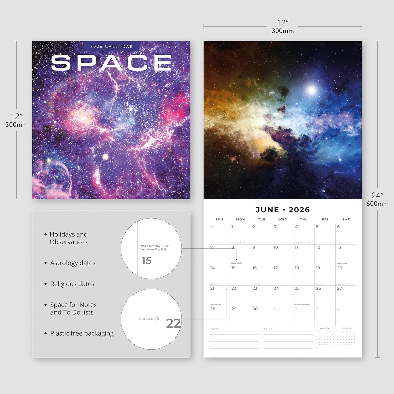 Red Robin 2026 Space Monthly Wall Calendar | 12" x 24" Open | Premium Thick & Sturdy Paper | Hangable 12 Month Calendar | Lined Notes & To Do Area | Vivid Images | Plastic Free