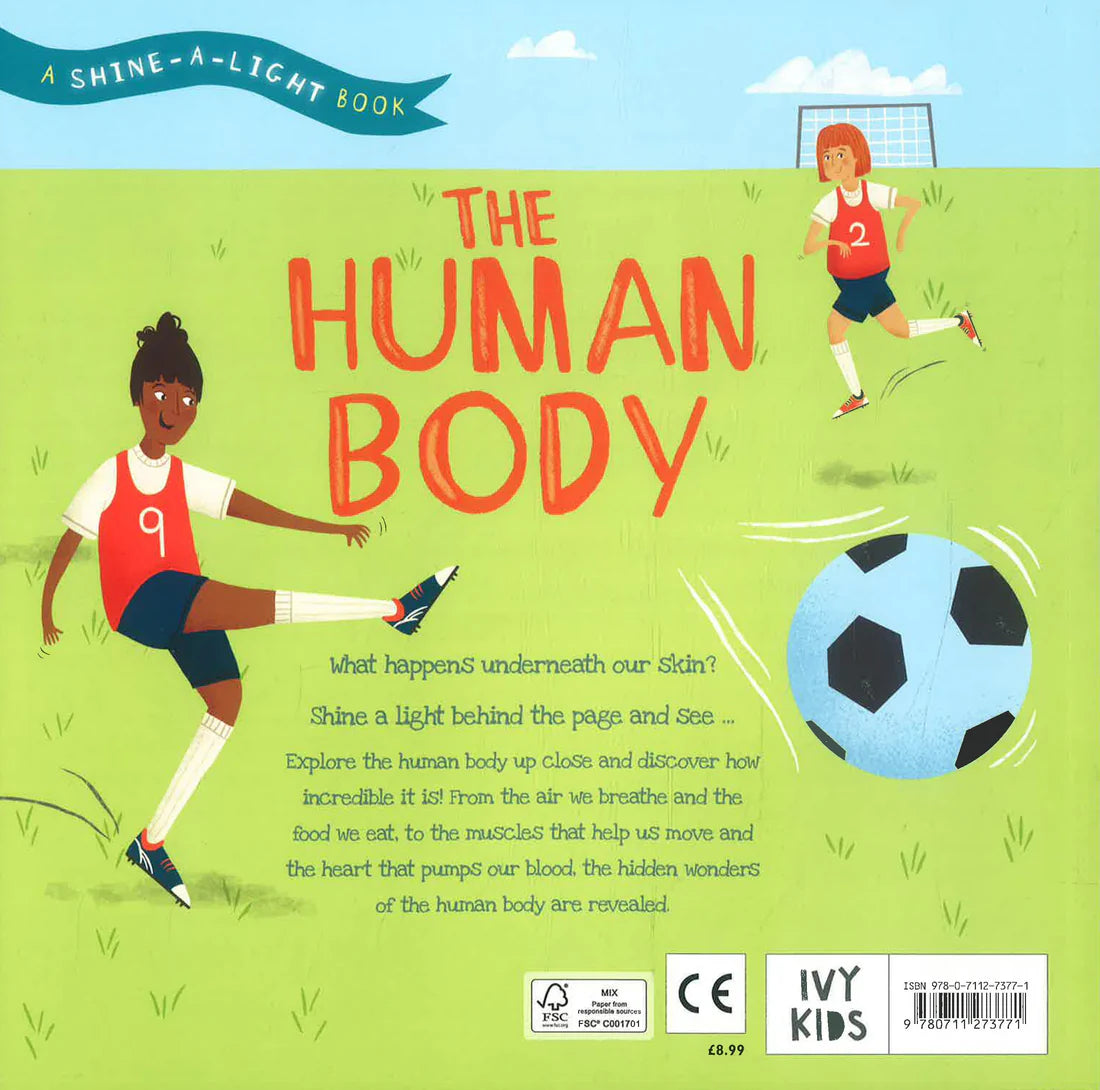 The Human Body: A Shine-A-Light Book – Interactive Anatomy Book for Kids (Paperback)