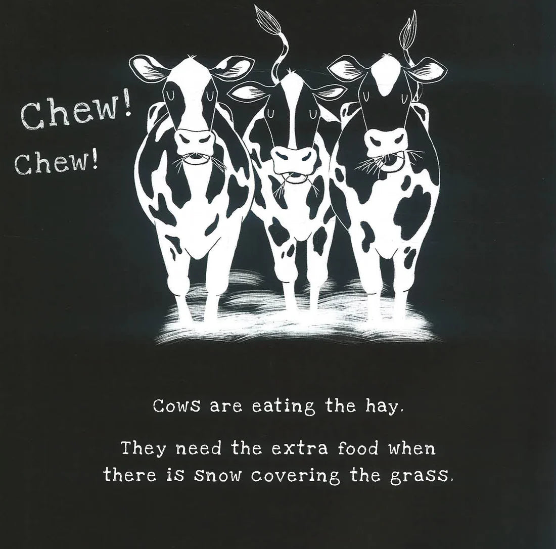 On the Farm: A Shine-A-Light Book – Interactive Children's Farm Life Book (Paperback)