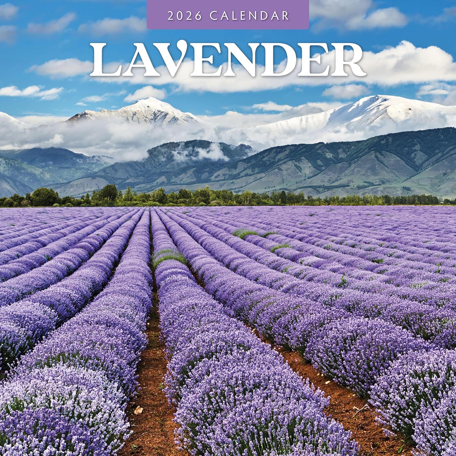 Red Robin 2026 Lavender Monthly Wall Calendar | 12" x 24" Open | Premium Thick & Sturdy Paper | Hangable 12 Month Calendar | Lined Notes & To Do Area | Vivid Images | Plastic Free