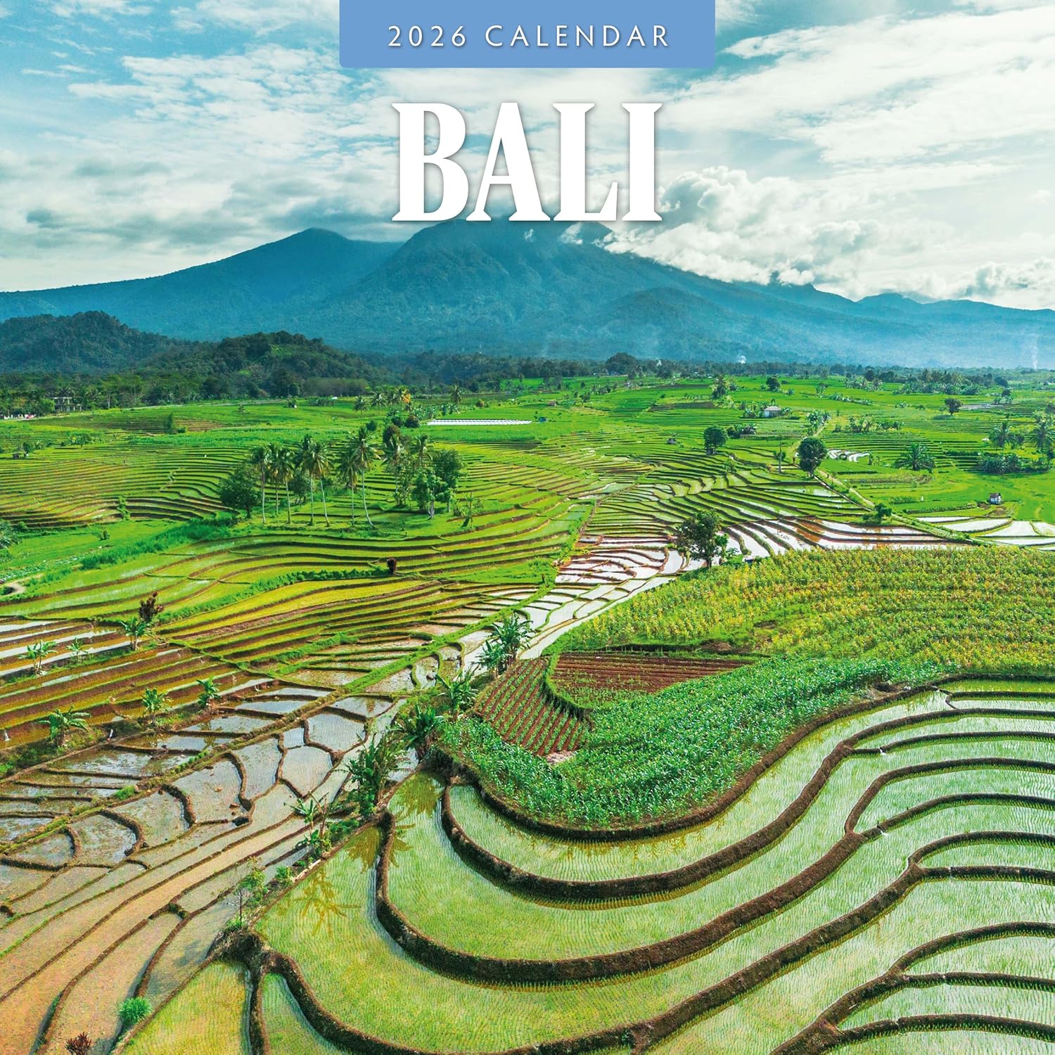 Red Robin 2026 Bali Monthly Wall Calendar | 12" x 24" Open | Premium Thick & Sturdy Paper | Hangable 12 Month Calendar | Lined Notes & To Do Area | Vivid Images | Plastic Free