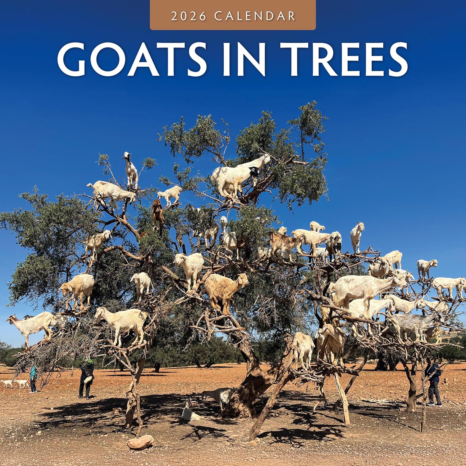 Red Robin 2026 Goats in Trees Monthly Wall Calendar | 12" x 24" Open | Premium Thick & Sturdy Paper | Hangable 12 Month Calendar | Lined Notes & To Do Area | Vivid Images | Plastic Free
