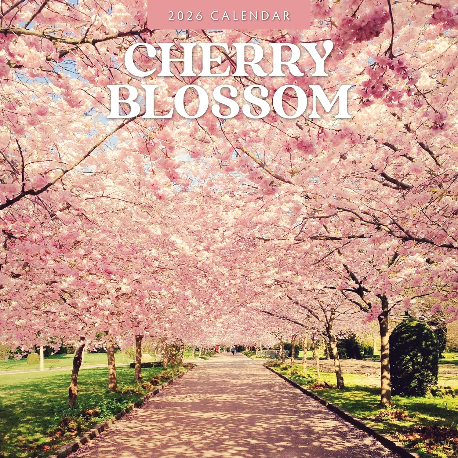 Red Robin 2026 Cherry Blossom Monthly Wall Calendar | 12" x 24" Open | Premium Thick & Sturdy Paper | Hangable 12 Month Calendar | Lined Notes & To Do Area | Vivid Images | Plastic Free