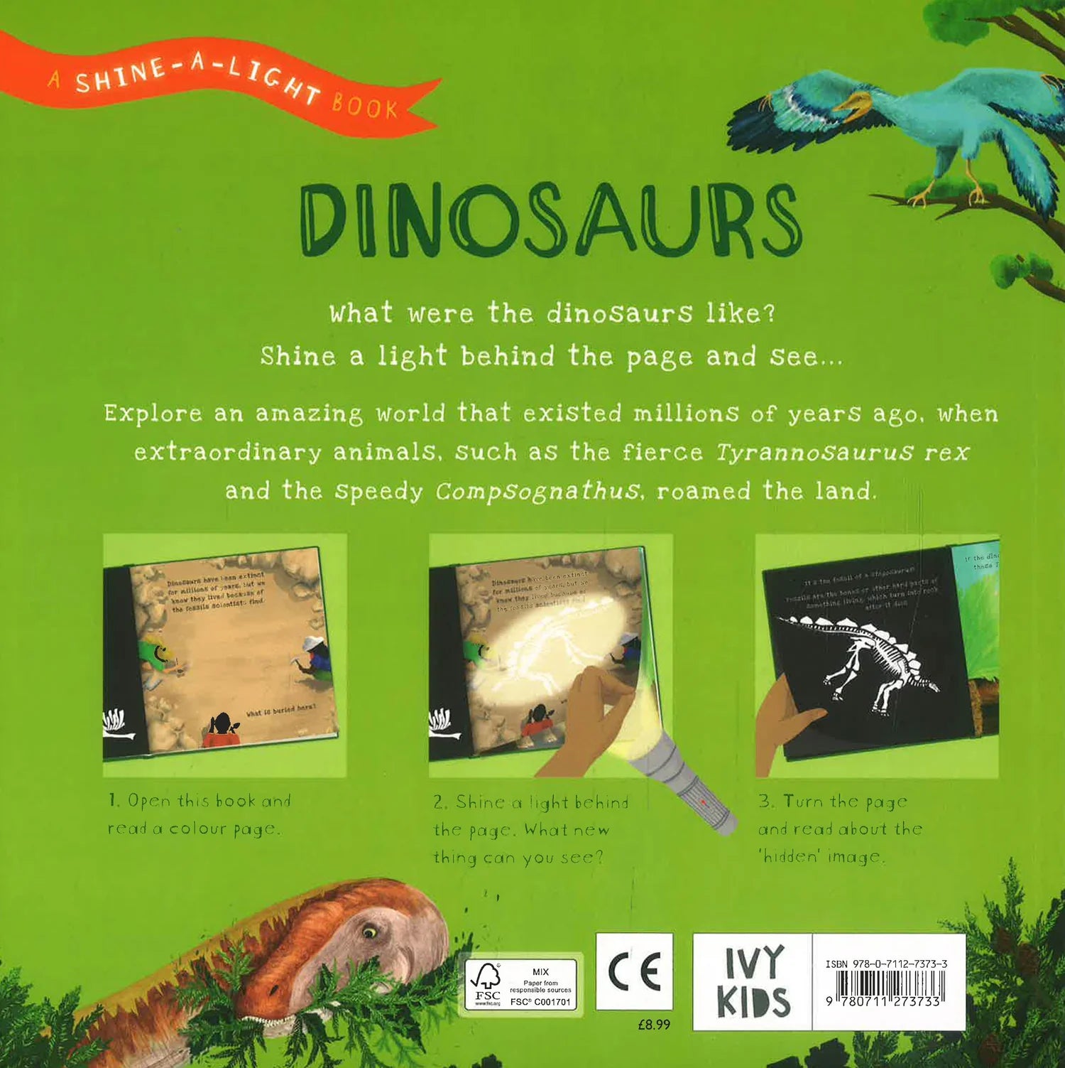 Dinosaurs: A Shine-A-Light Book – Interactive Children's Dinosaur Book (Paperback)