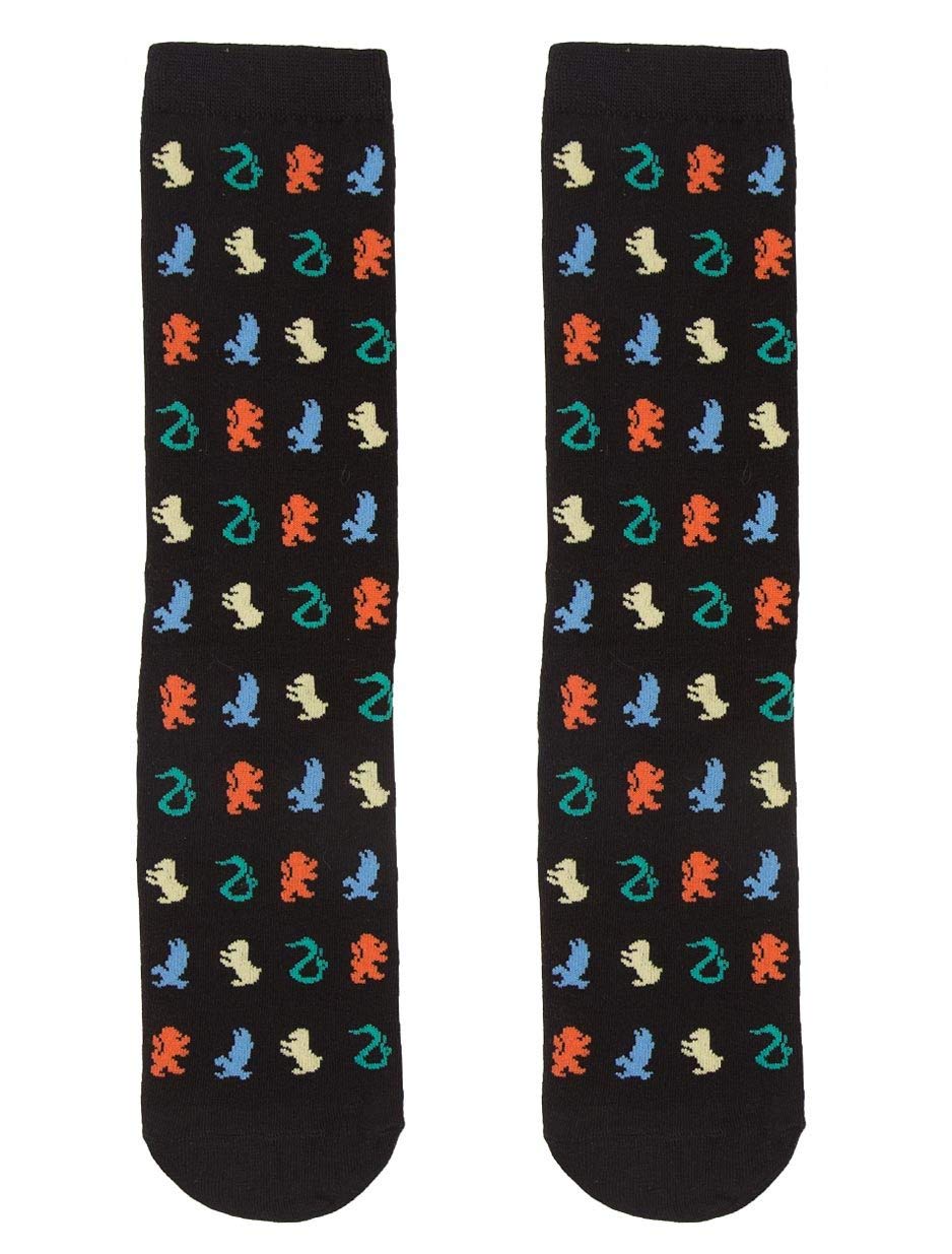 Harry Potter Socks, Unisex