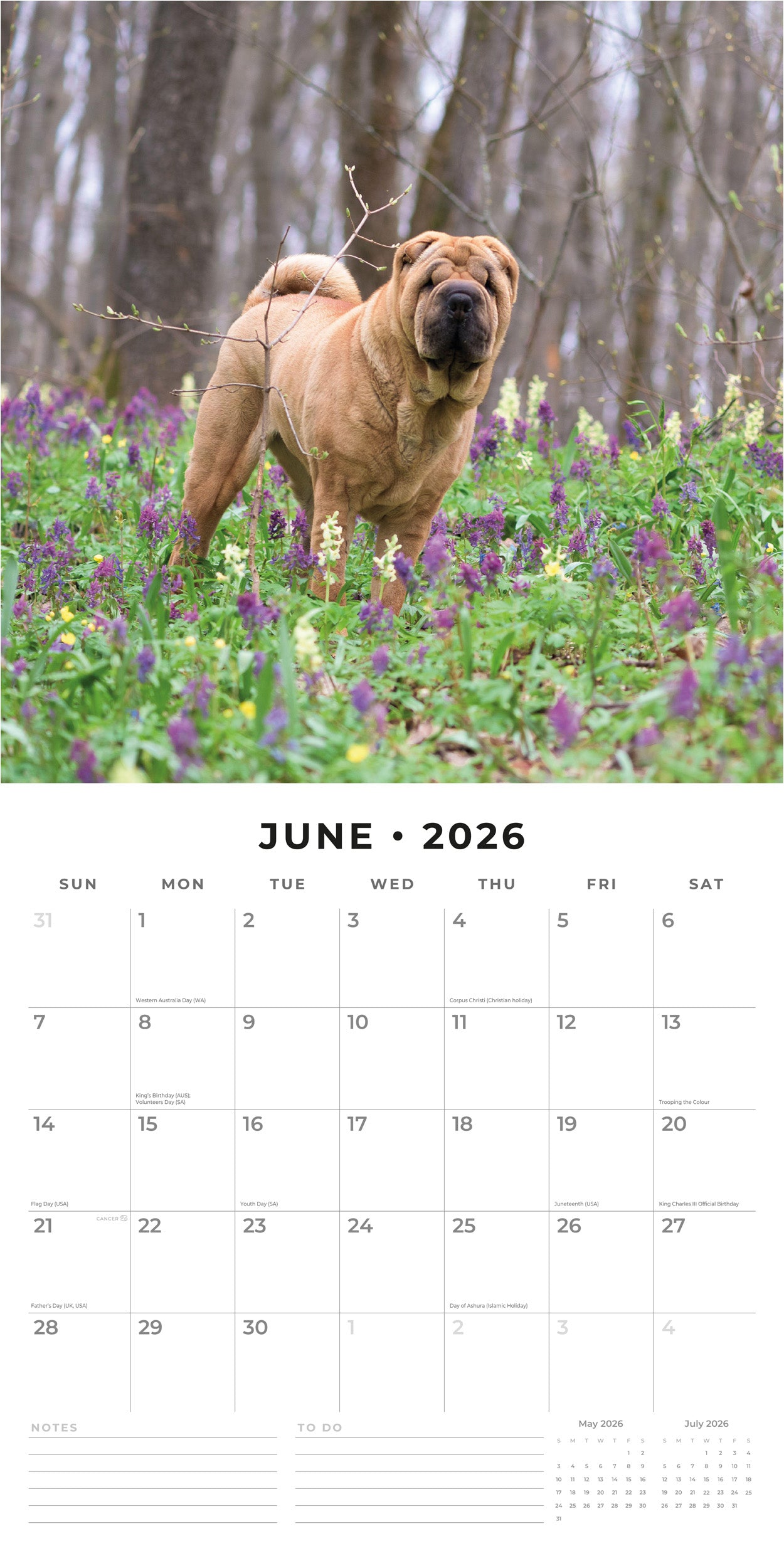 Red Robin 2026 Shar-Pei Monthly Wall Calendar | 12" x 24" Open | Premium Thick & Sturdy Paper | Hangable 12 Month Calendar | Lined Notes & To Do Area | Vivid Images | Plastic Free