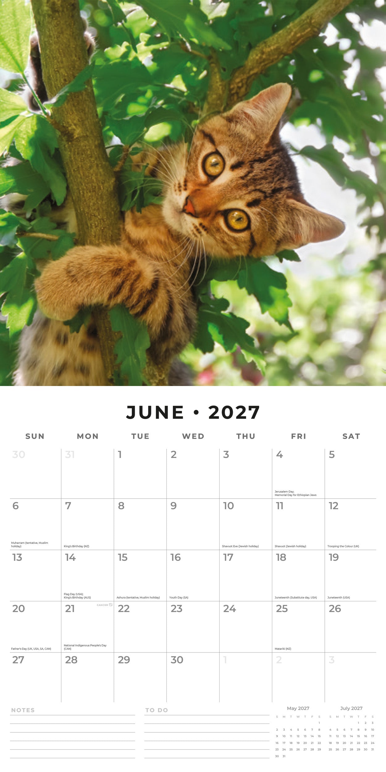 Red Robin 2027 Adorable Cats Monthly Wall Calendar | 12" x 12"