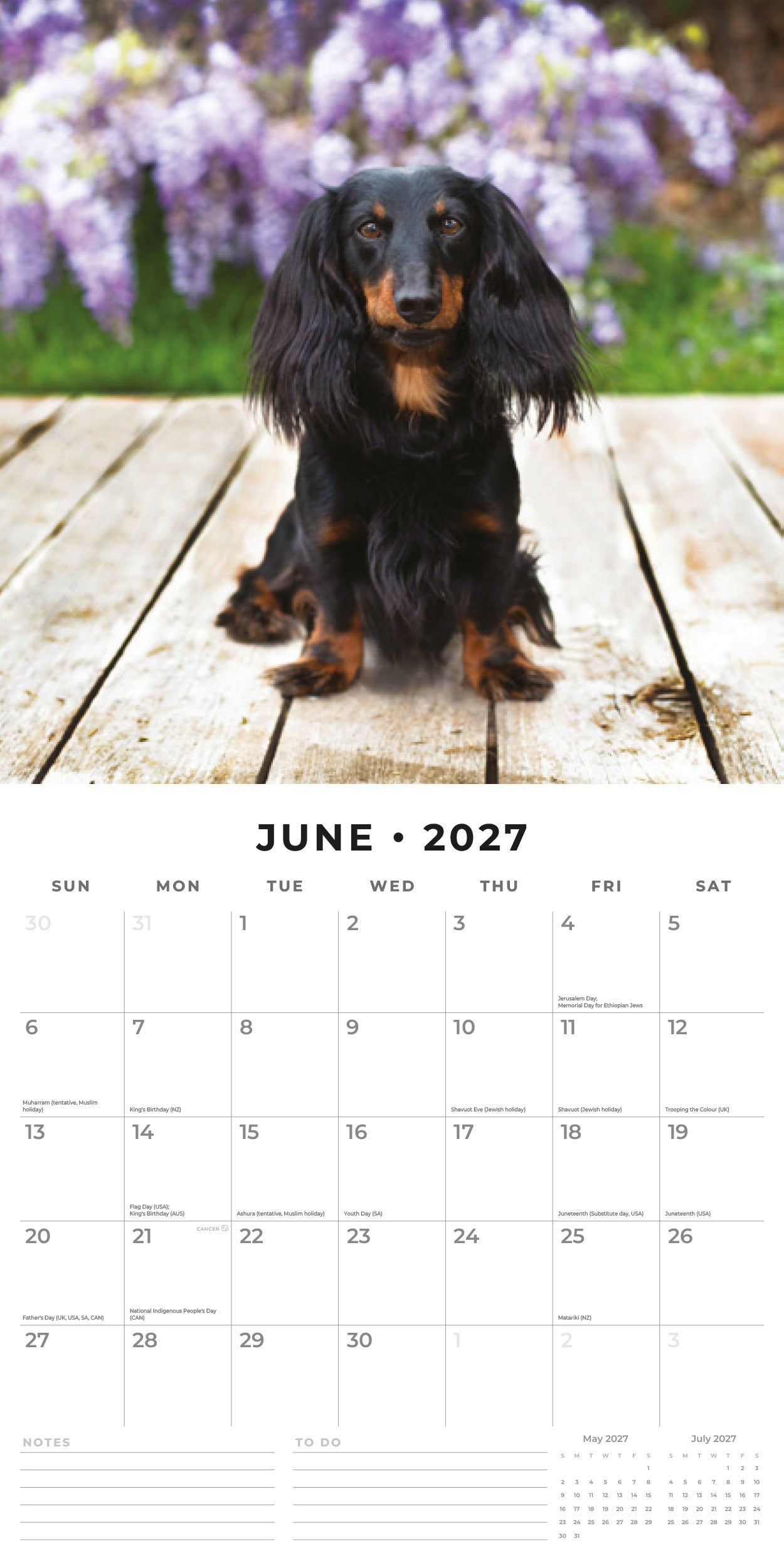 Red Robin 2027 Adorable Dogs Monthly Wall Calendar | 12" x 12"