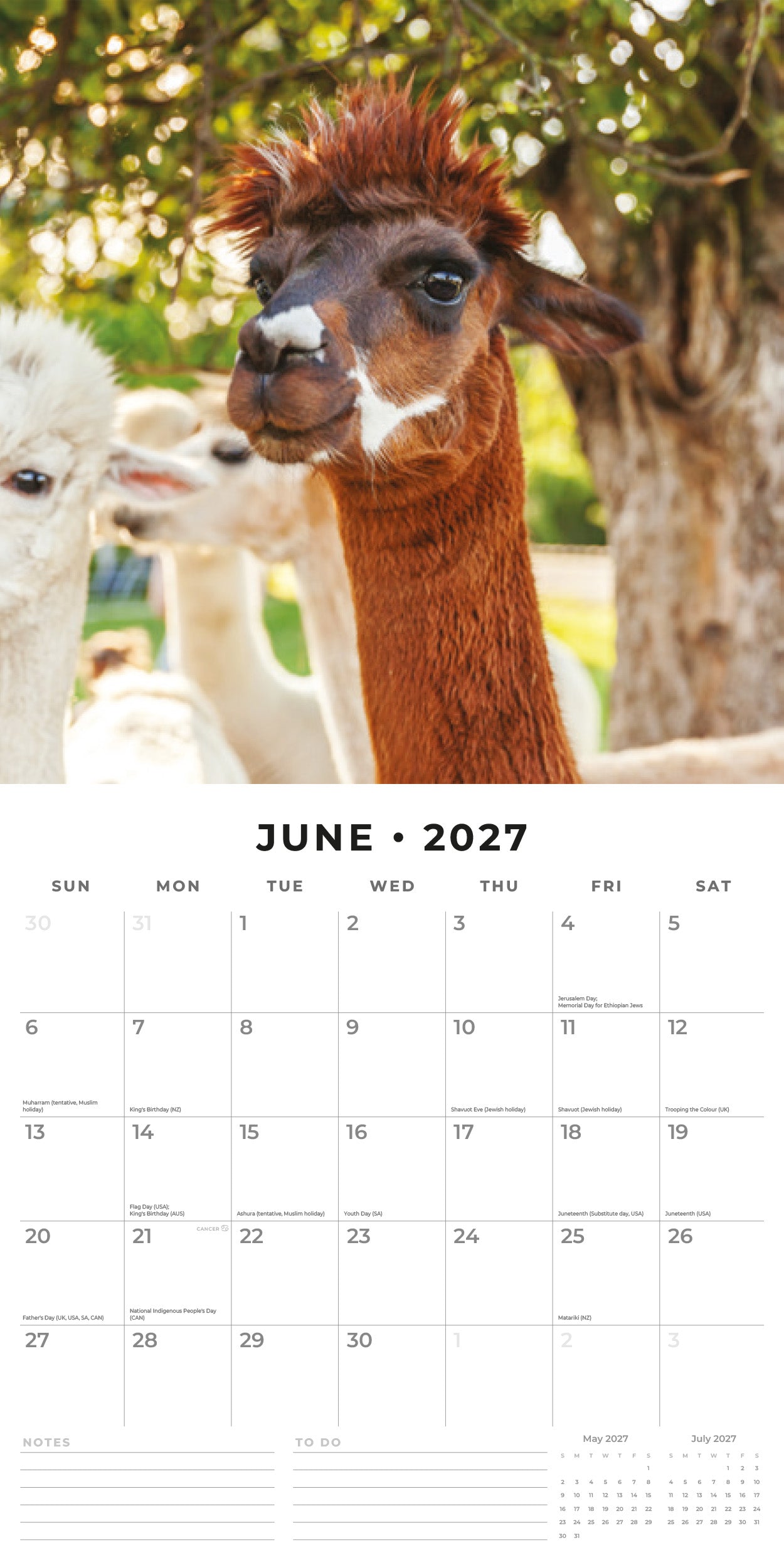 Red Robin 2027 Alpacas Monthly Wall Calendar | 12" x 12"