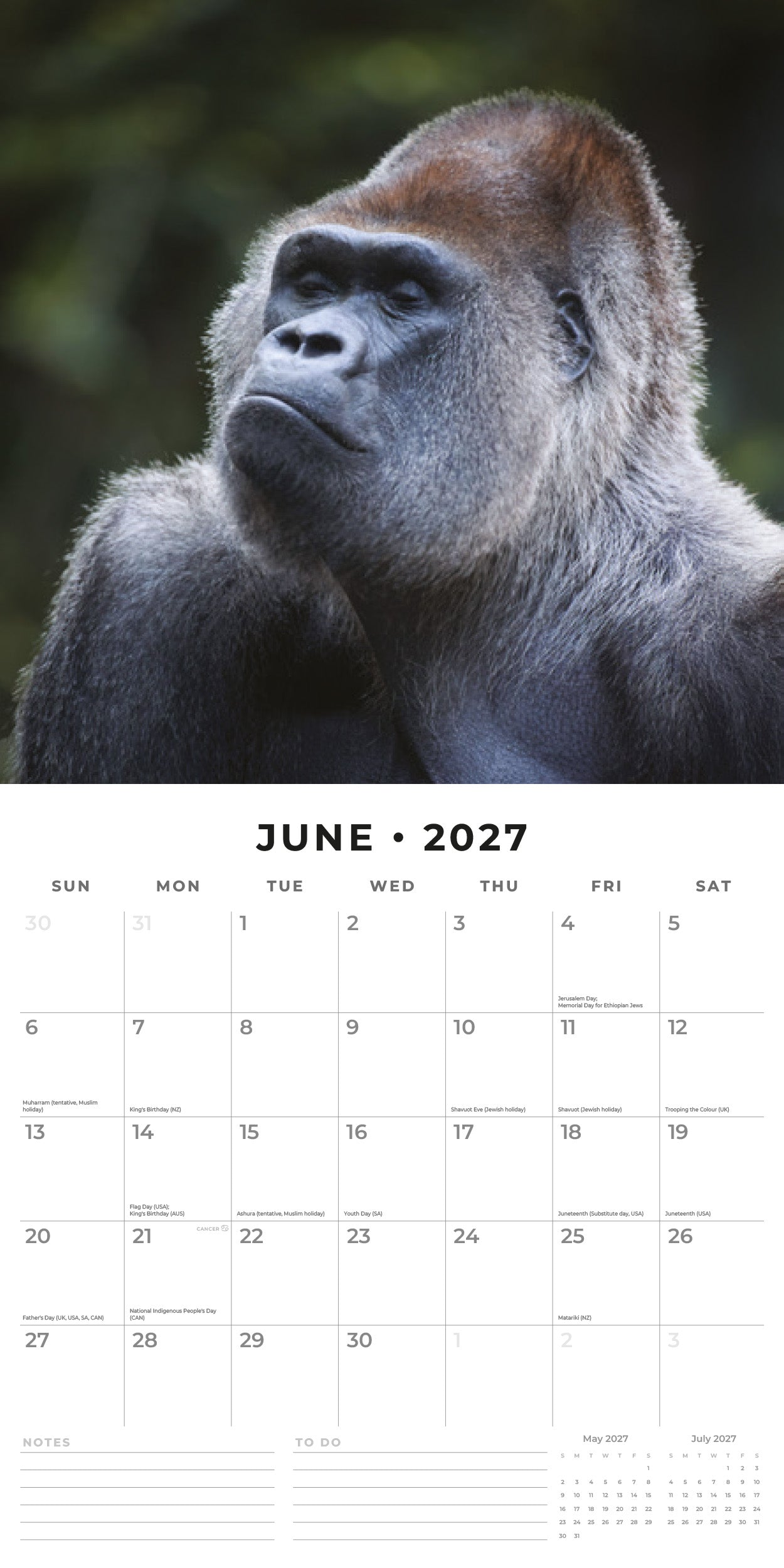 Red Robin 2027 Apes Monthly Wall Calendar | 12" x 12"