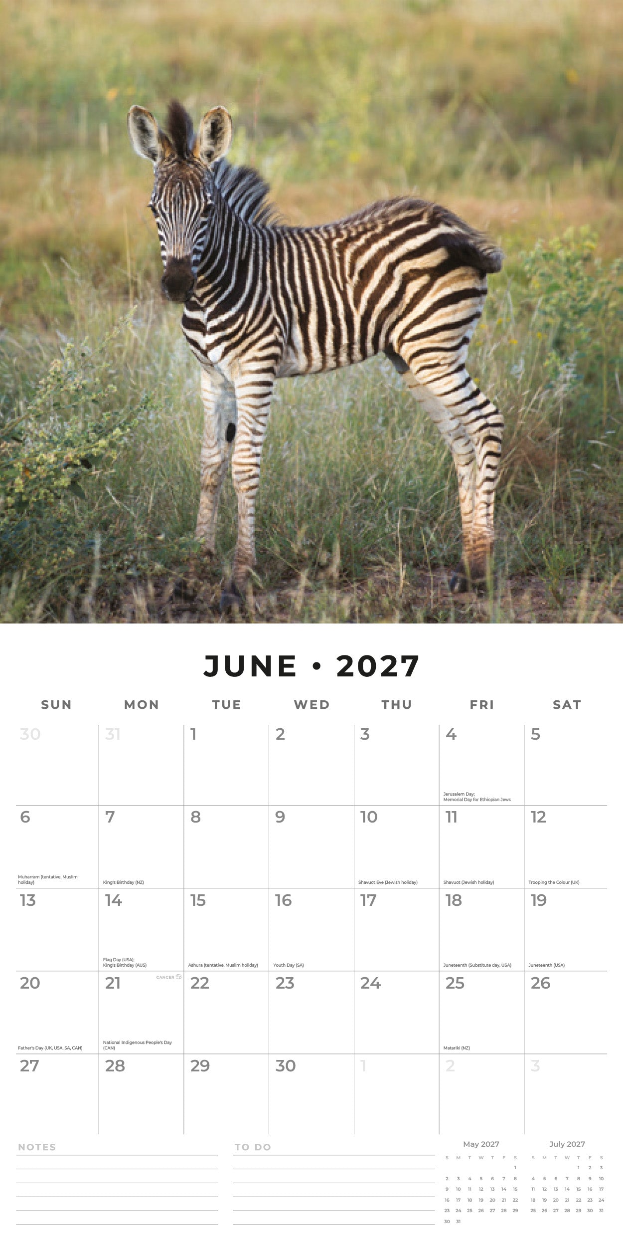 Red Robin 2027 Baby Animals Monthly Wall Calendar | 12" x 12"