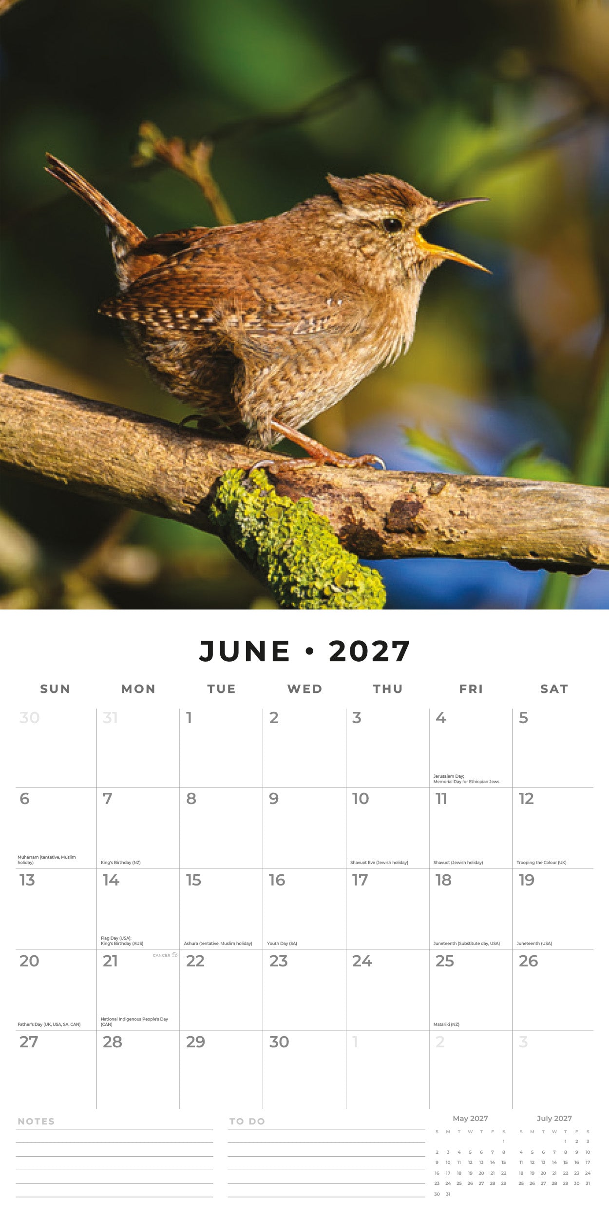 Red Robin 2027 Birds Monthly Wall Calendar | 12" x 12"