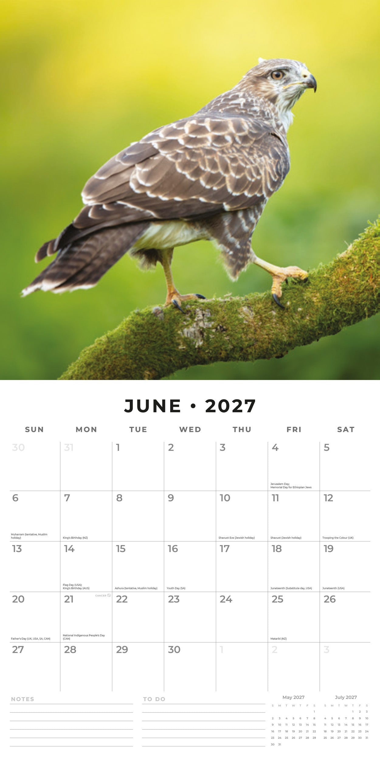 Red Robin 2027 Birds of Prey Monthly Wall Calendar | 12" x 12"