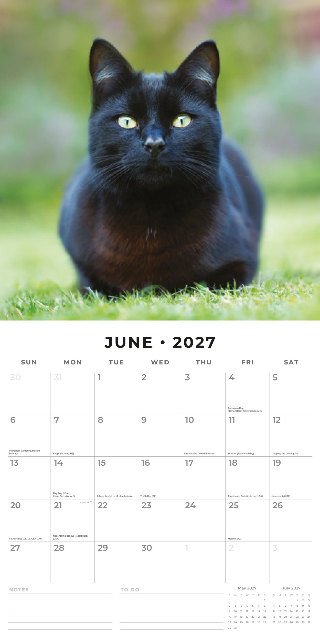 Red Robin 2027 Black Cats Monthly Wall Calendar | 12" x 12"