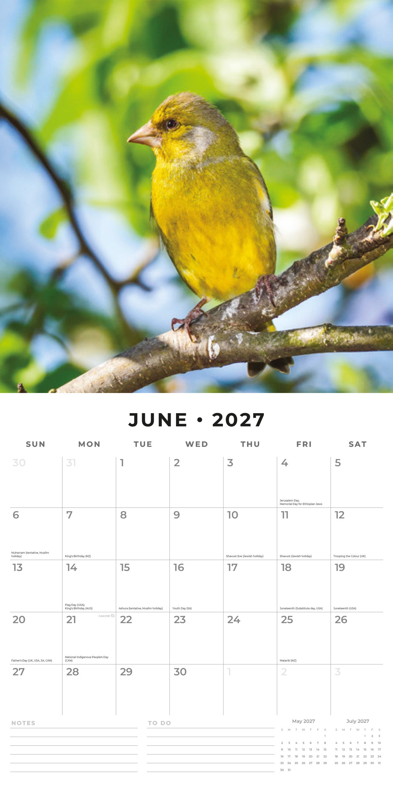 Red Robin 2027 British Garden Birds Monthly Wall Calendar | 12" x 12"