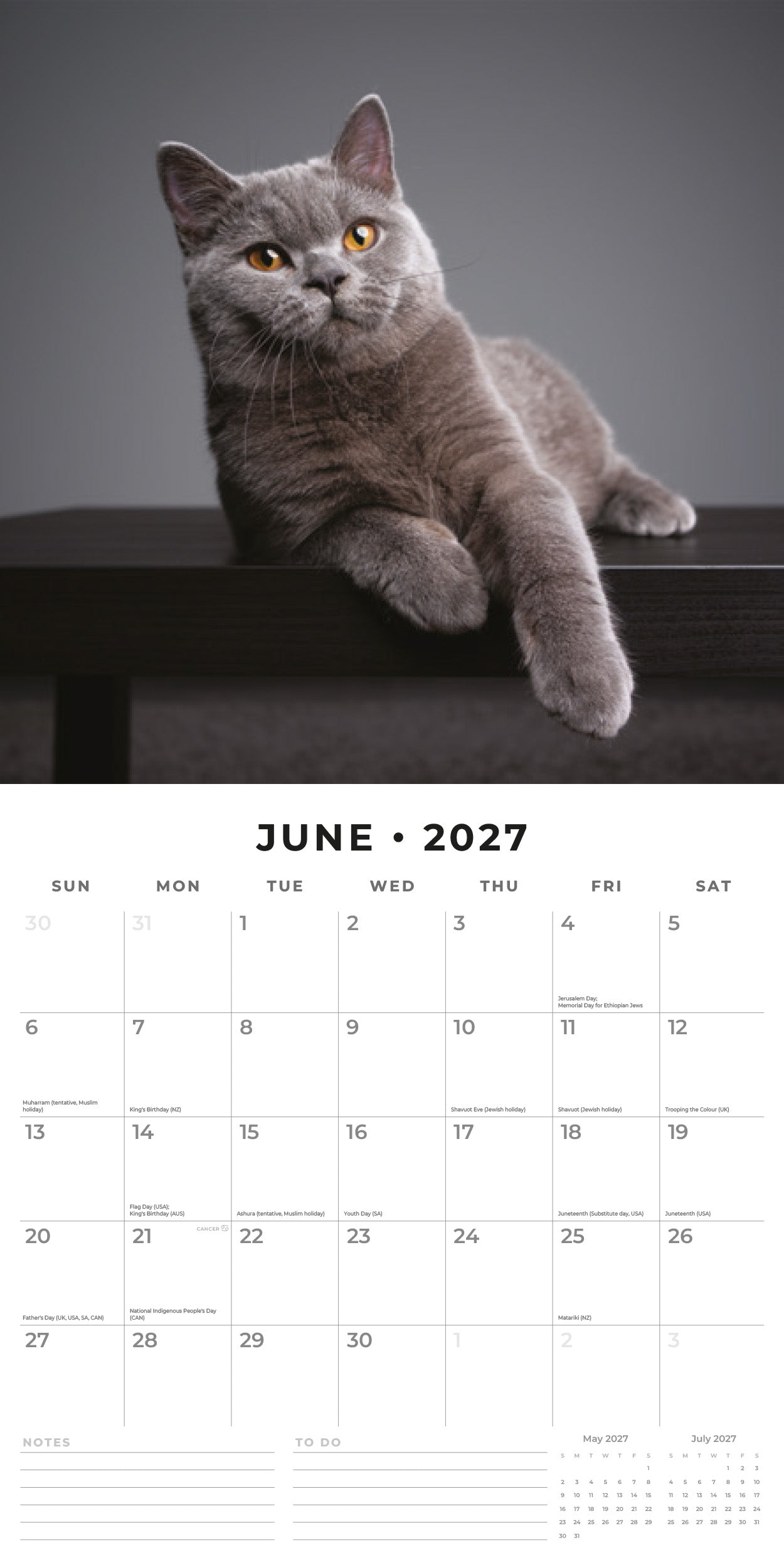 Red Robin 2027 British Shorthair Cats Monthly Wall Calendar | 12" x 12"
