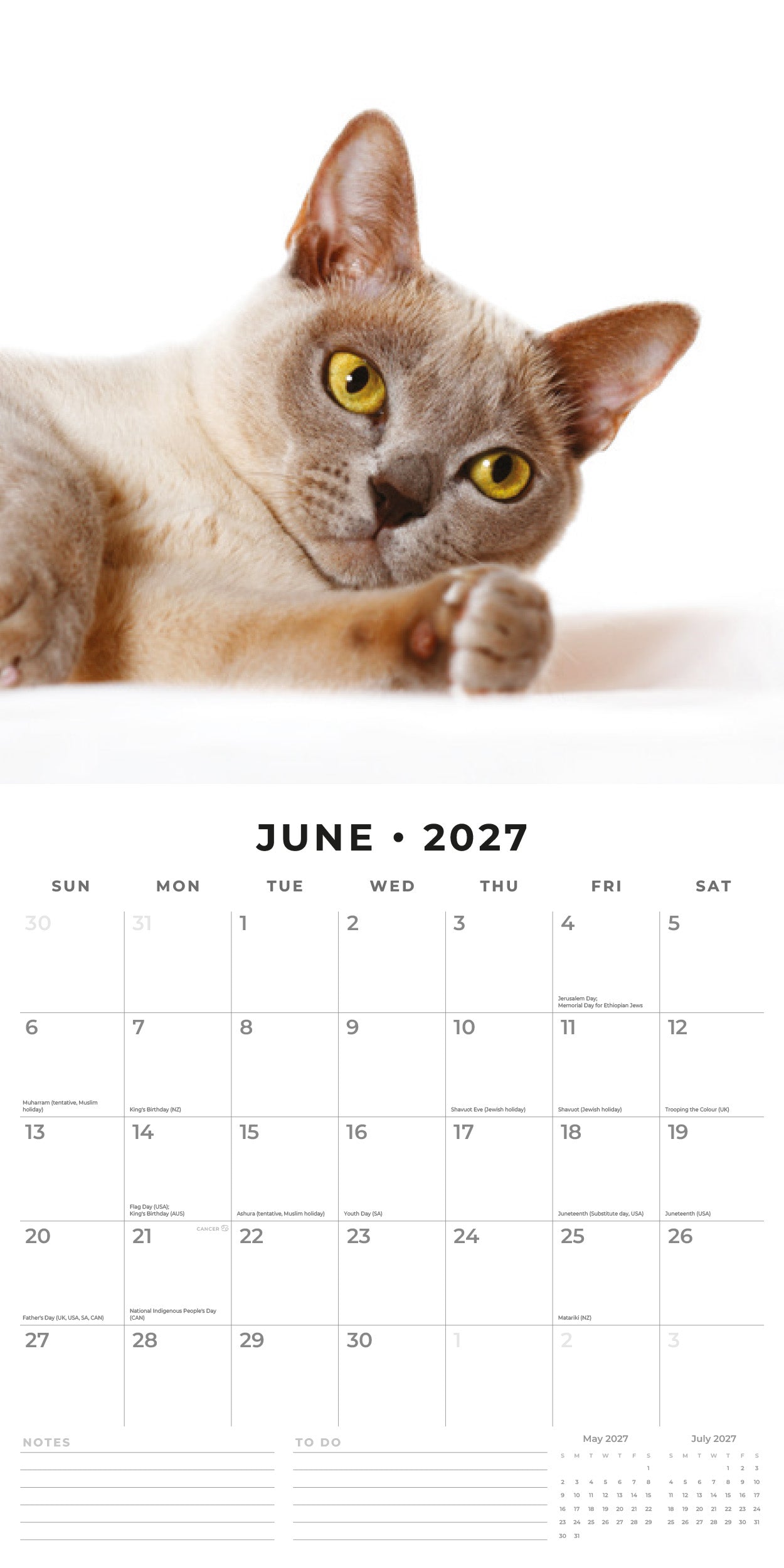 Red Robin 2027 Burmese Cats Monthly Wall Calendar | 12" x 12"