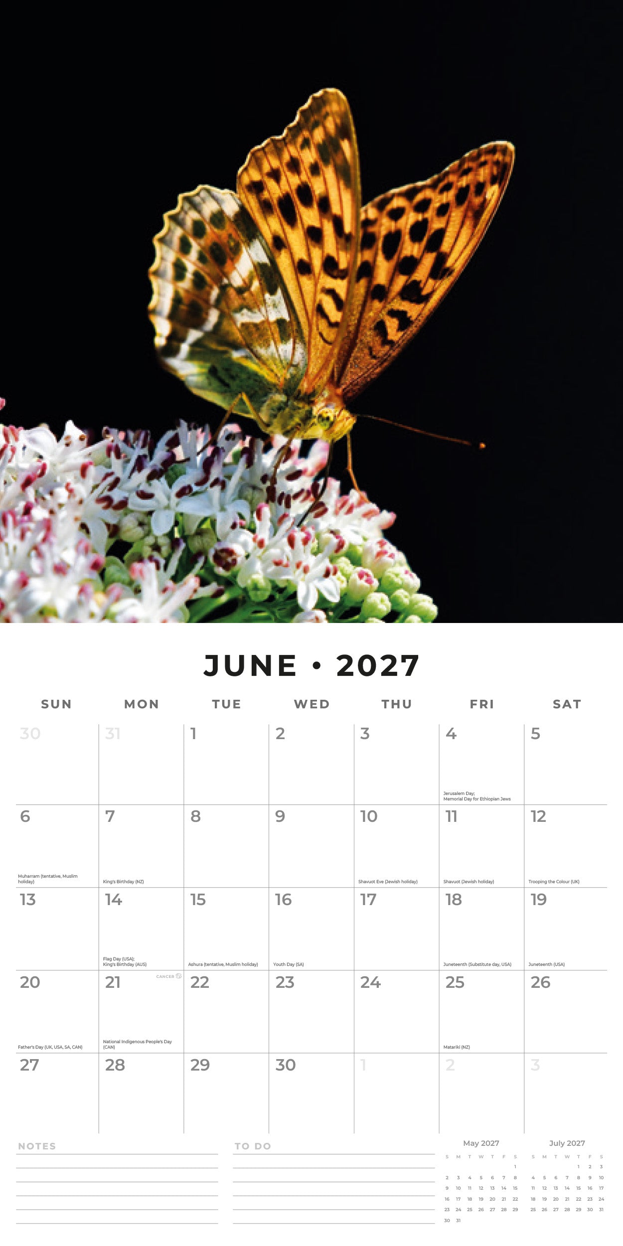 Red Robin 2027 Butterflies Monthly Wall Calendar | 12" x 12"