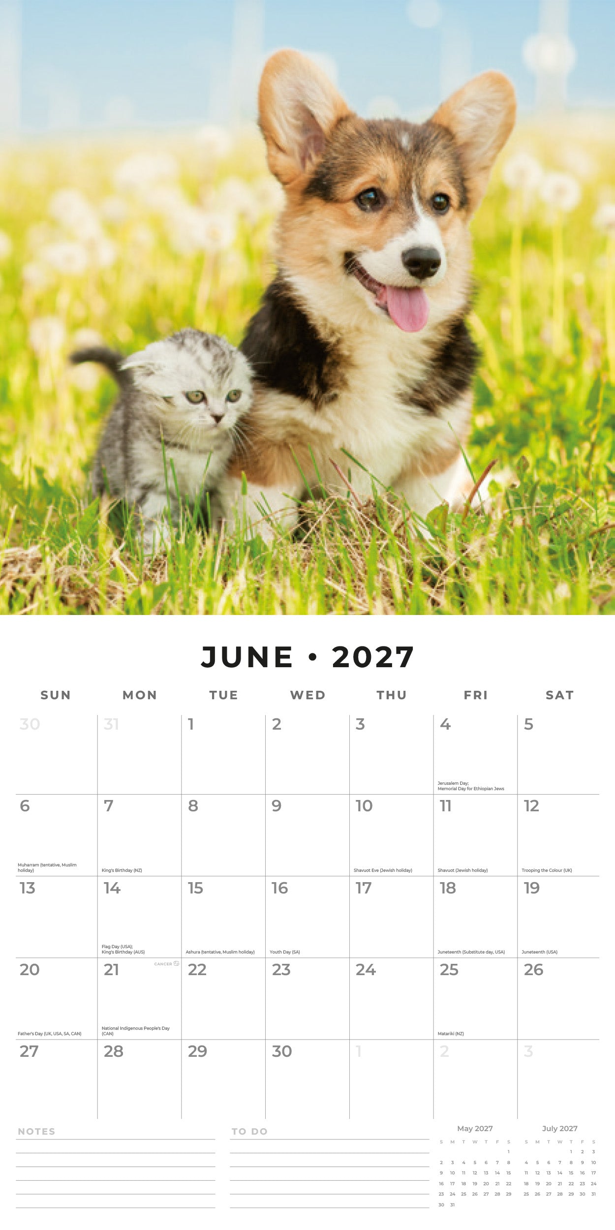Red Robin 2027 Cats & Dogs Monthly Wall Calendar | 12" x 12"