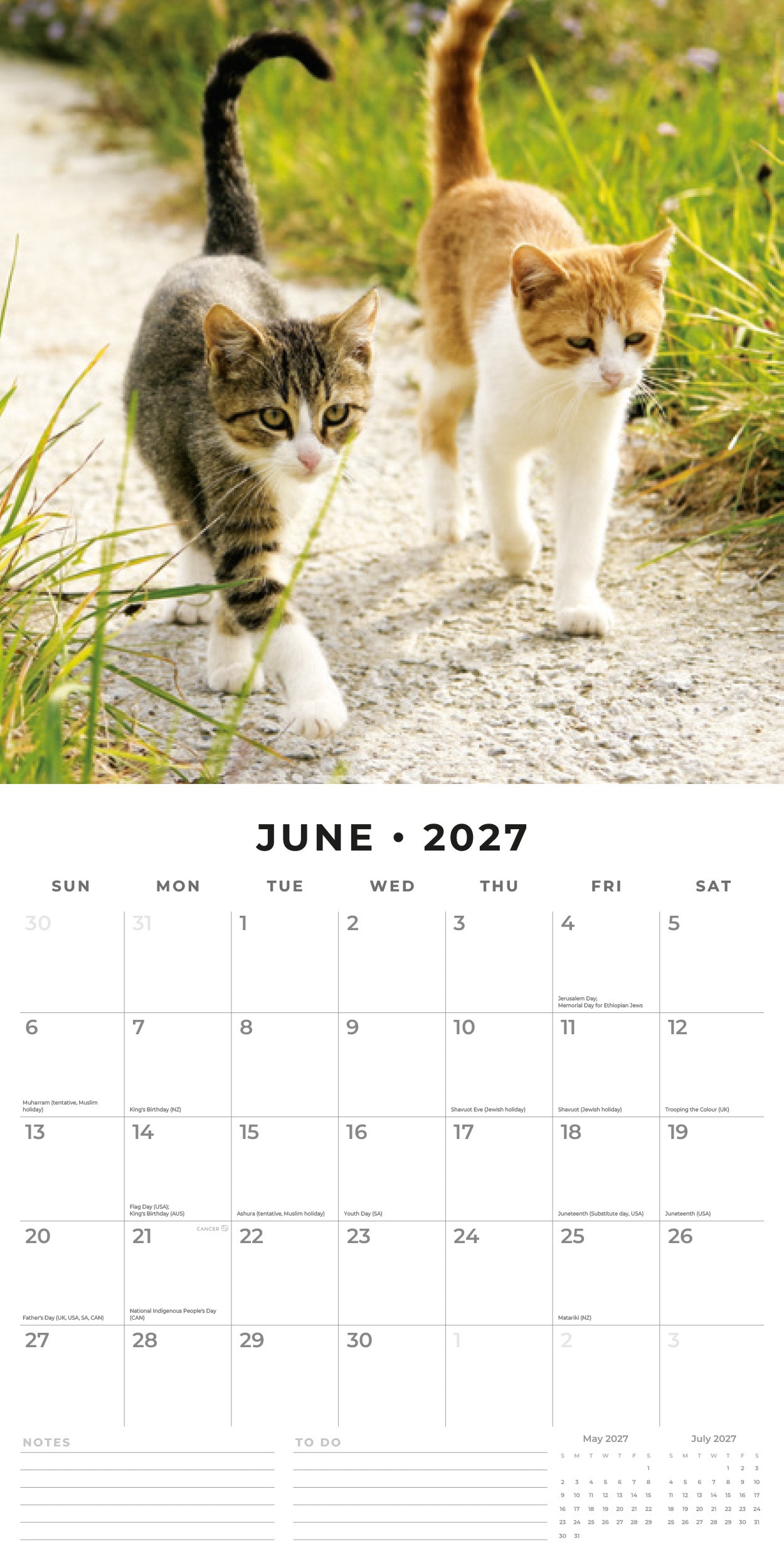 Red Robin 2027 Cats & Kittens Monthly Wall Calendar | 12" x 12"