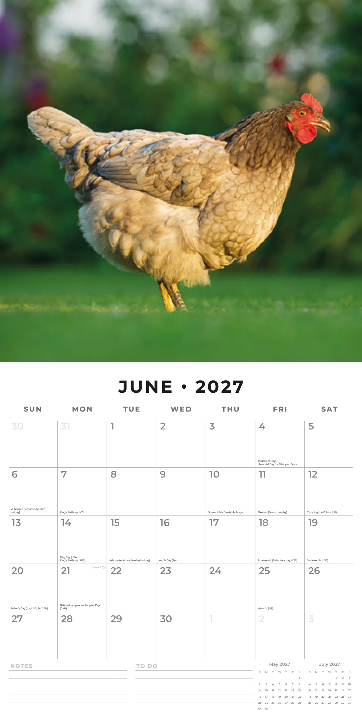 Red Robin 2027 Chickens Monthly Wall Calendar | 12" x 12"