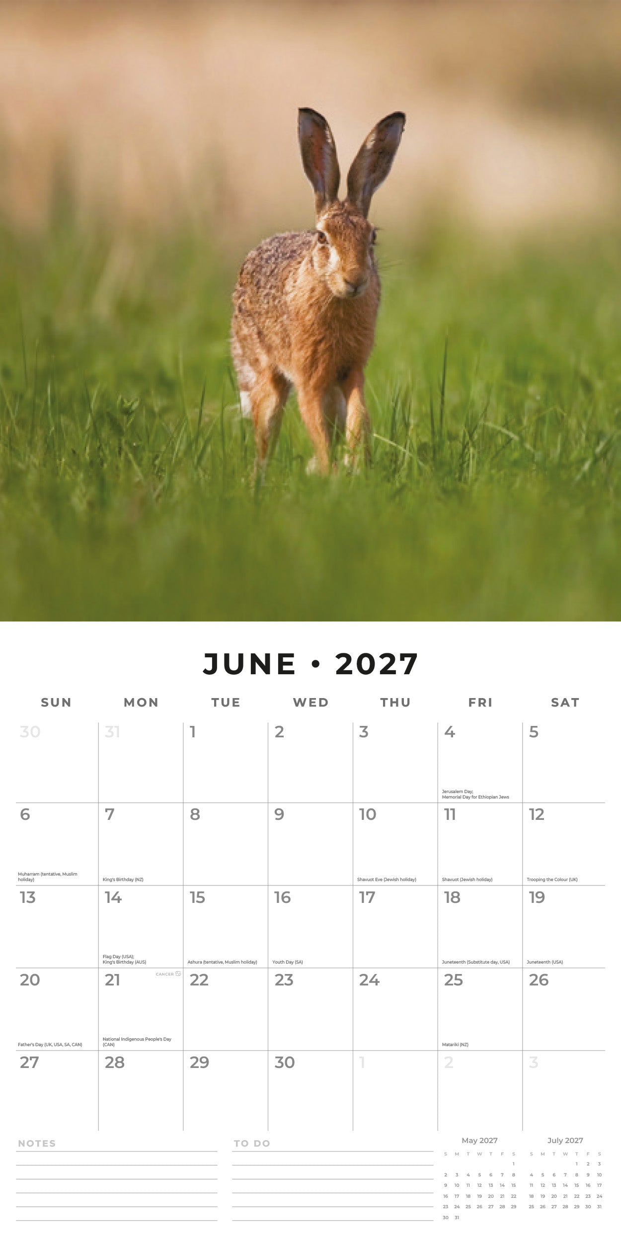Red Robin 2027 Country Wildlife Monthly Wall Calendar | 12" x 12"