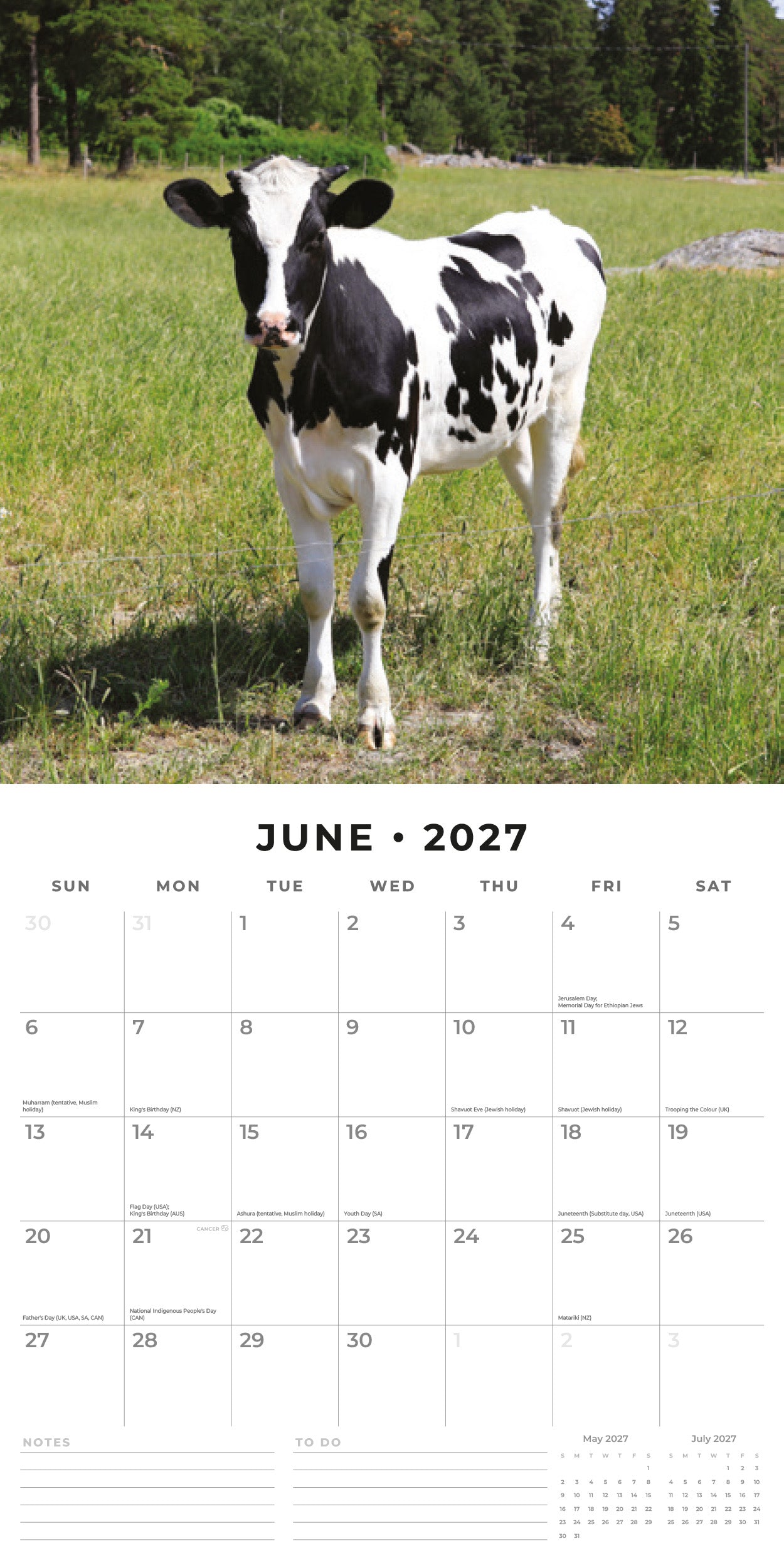 Red Robin 2027 Cows Monthly Wall Calendar | 12" x 12"