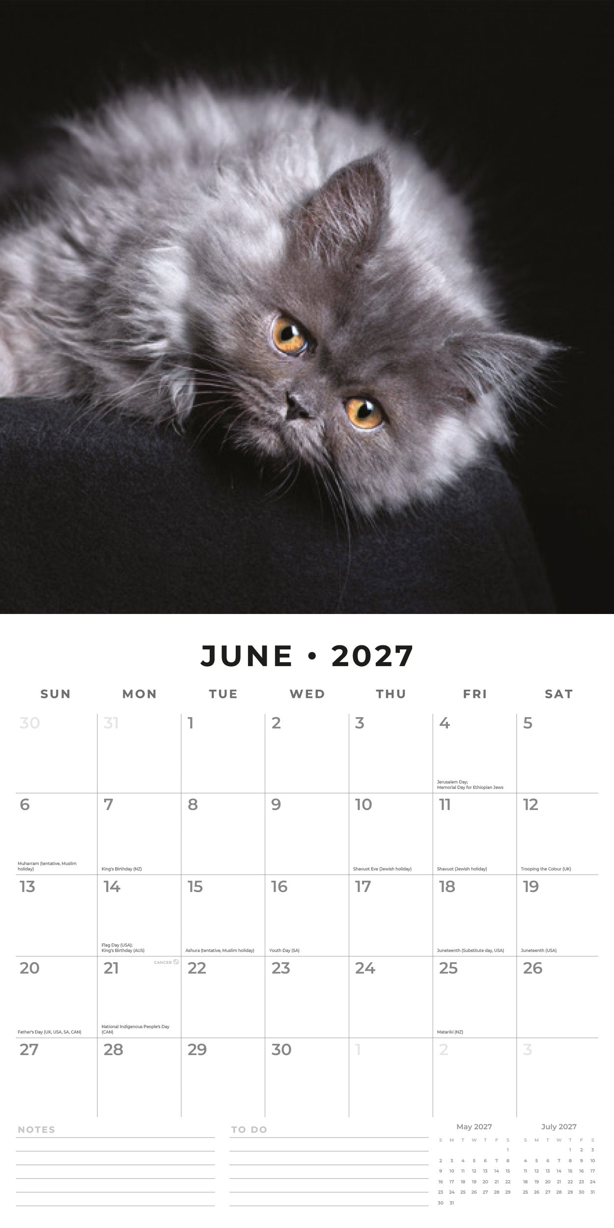 Red Robin 2027 Cute Kittens Monthly Wall Calendar | 12" x 12"