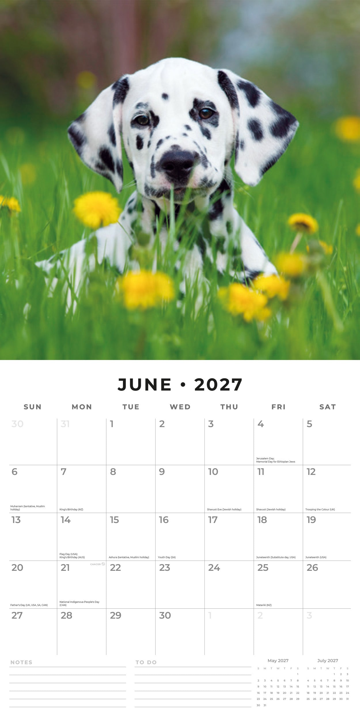 Red Robin 2027 Cute Puppies Monthly Wall Calendar | 12" x 12"