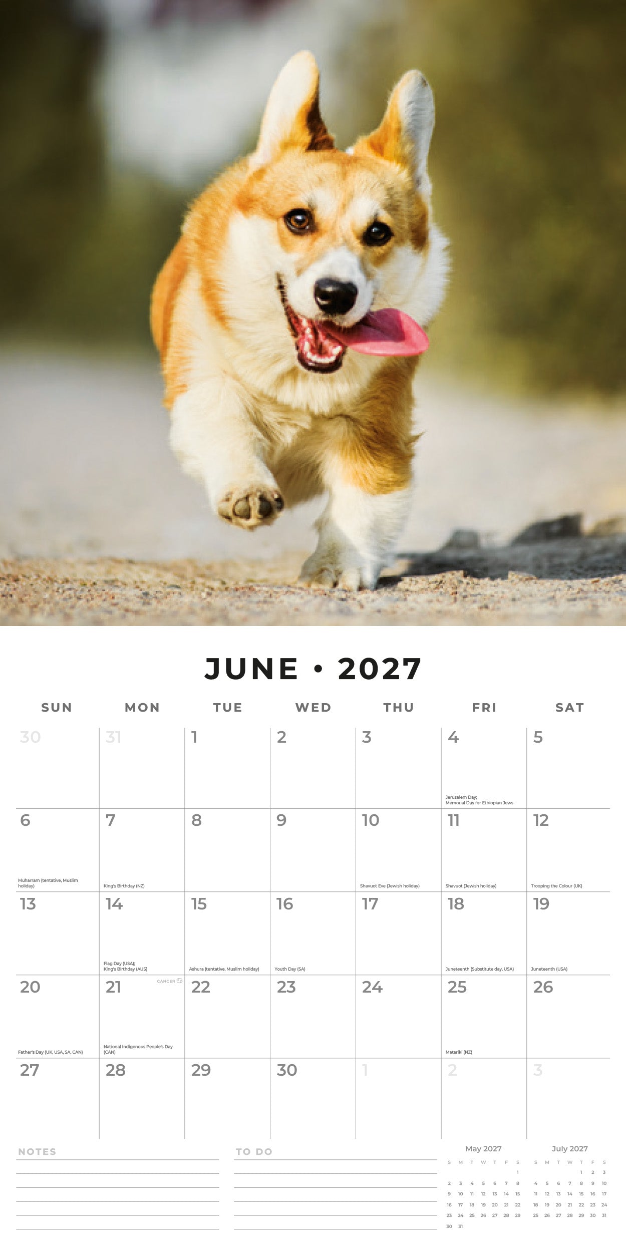 Red Robin 2027 Dogs & Puppies Monthly Wall Calendar | 12" x 12"