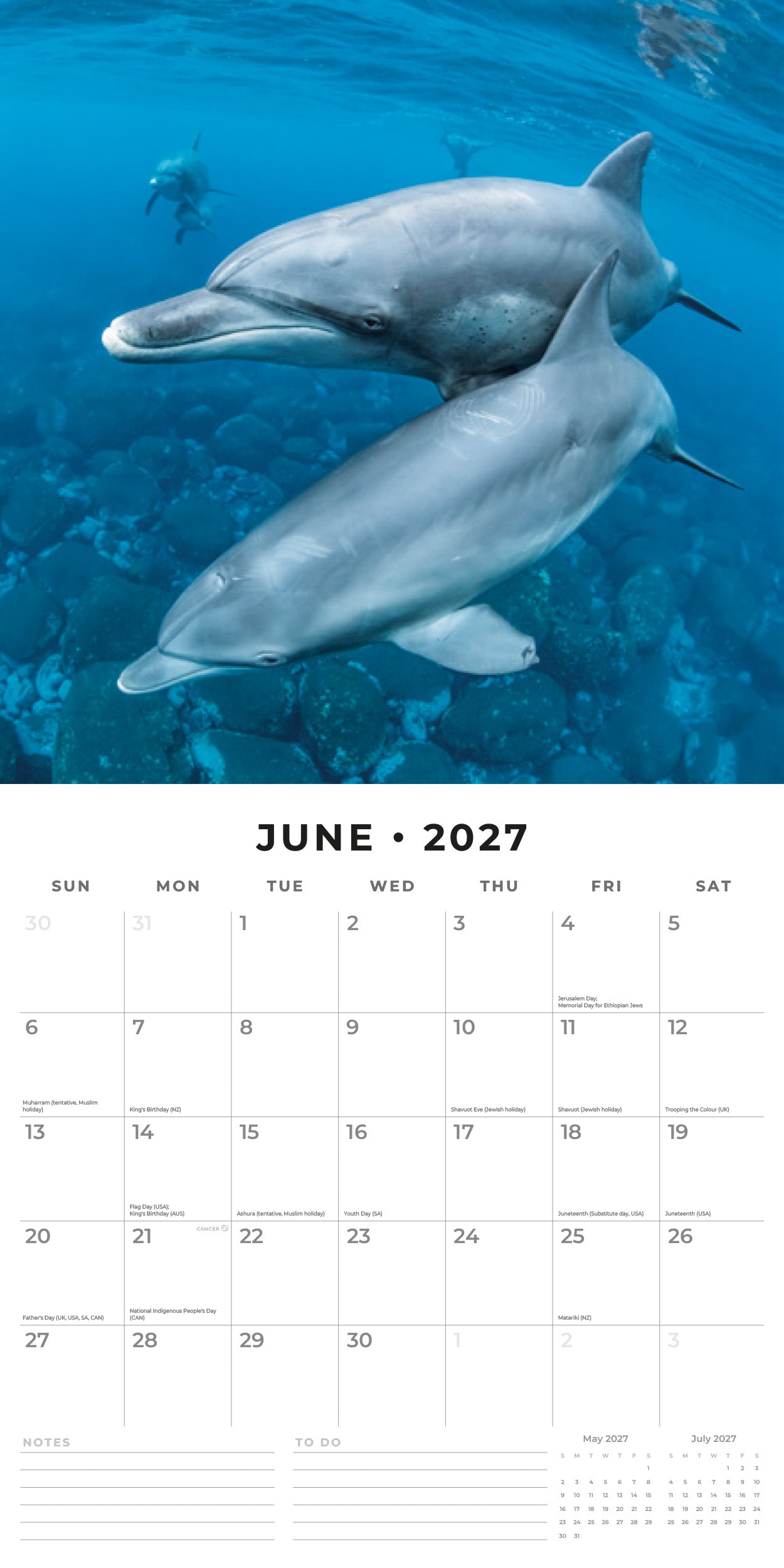 Red Robin 2027 Dolphins Monthly Wall Calendar | 12" x 12"