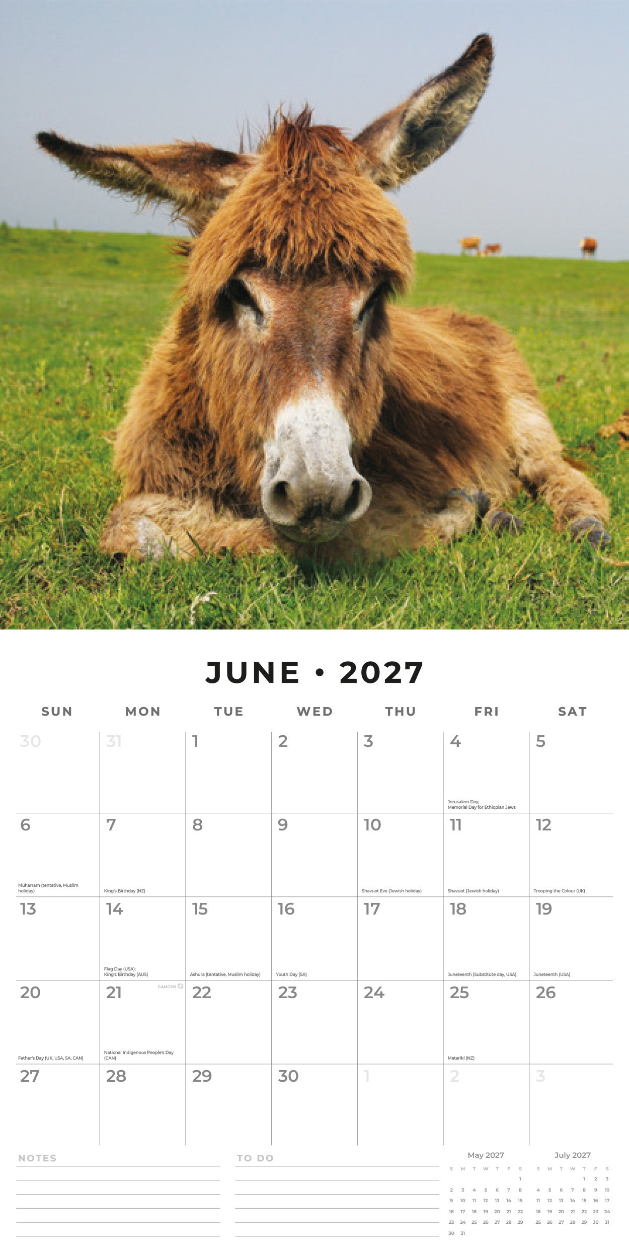 Red Robin 2027 Donkeys Monthly Wall Calendar | 12" x 12"